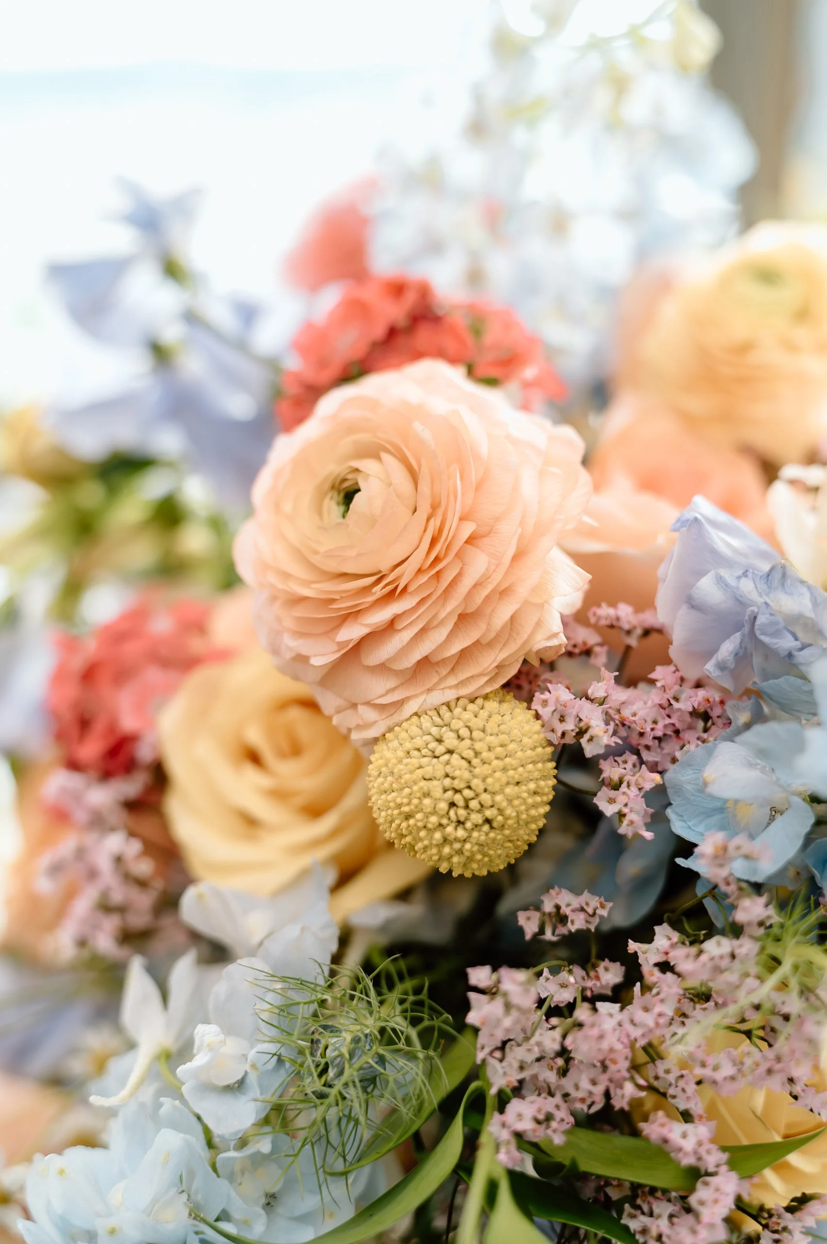 novasoulphotography-481.jpg
