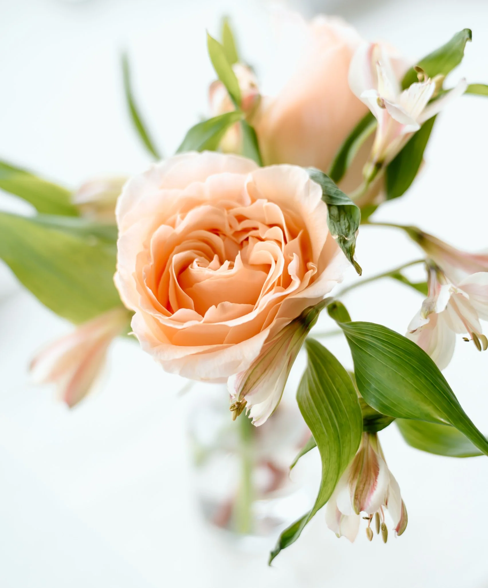 novasoulphotography-350.jpg