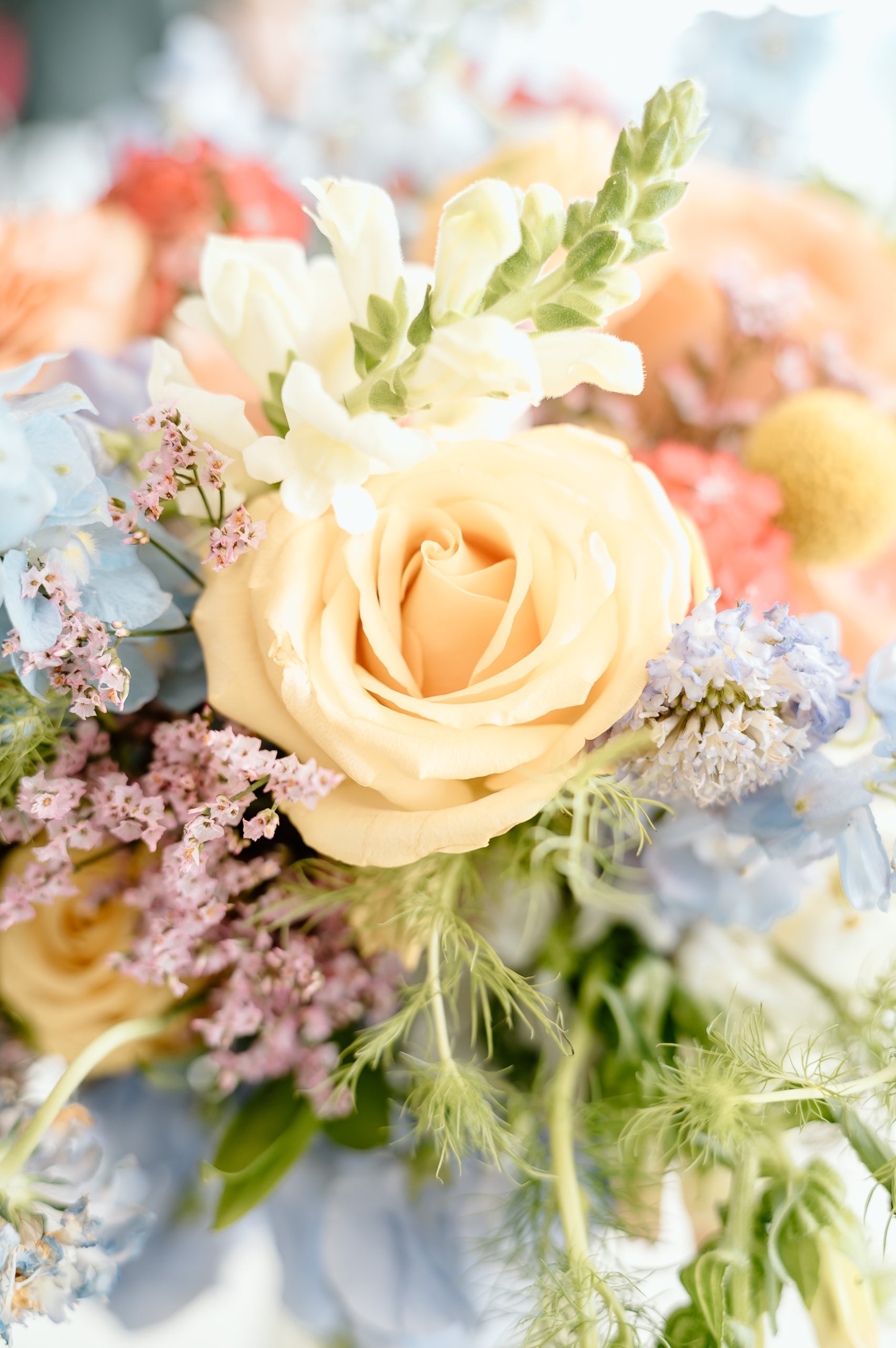 Close-up of a bouquet of pastel-colored flowers, including a cream-colored rose, white snapdragons, pink and blue hydrangeas, and green foliage