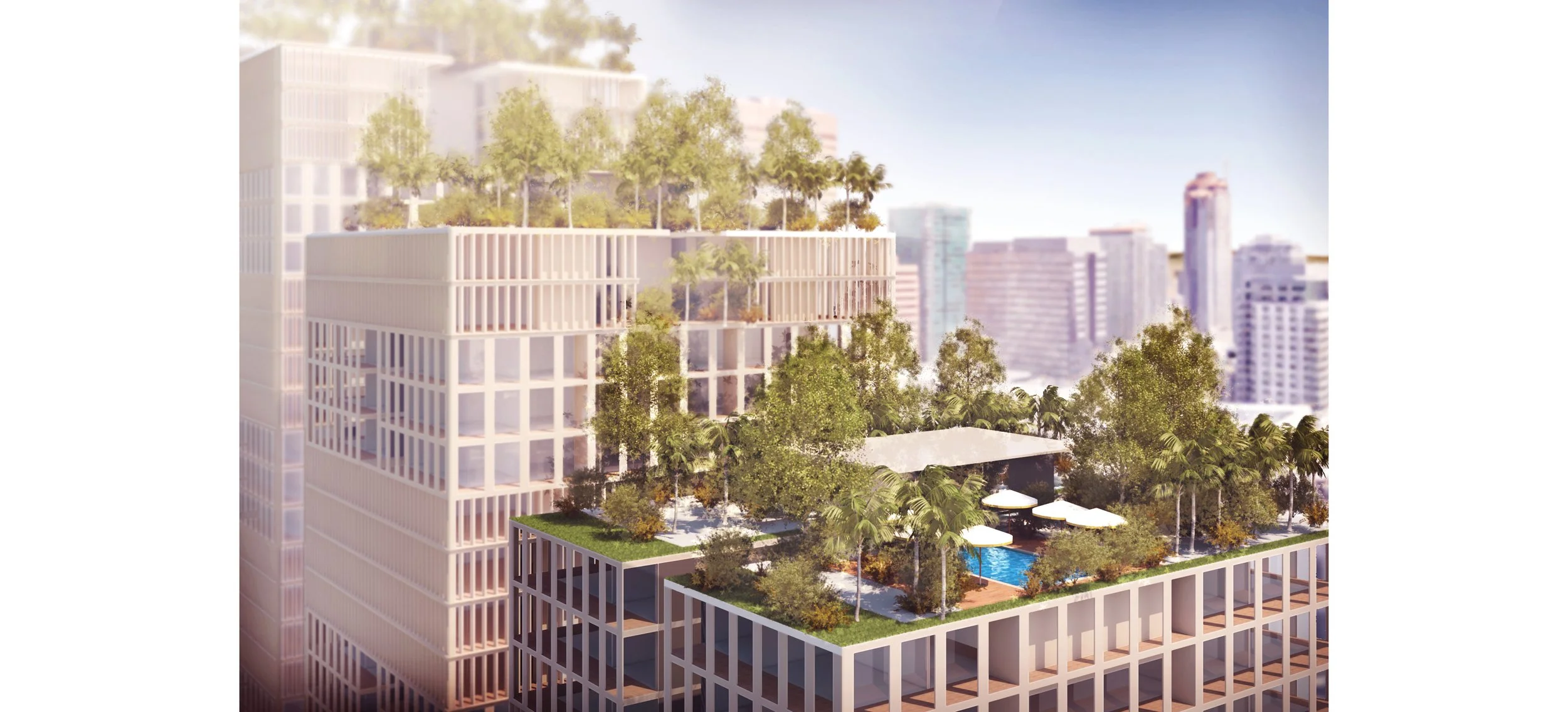 c 20009_Render_Olympic Rooftop View.jpg