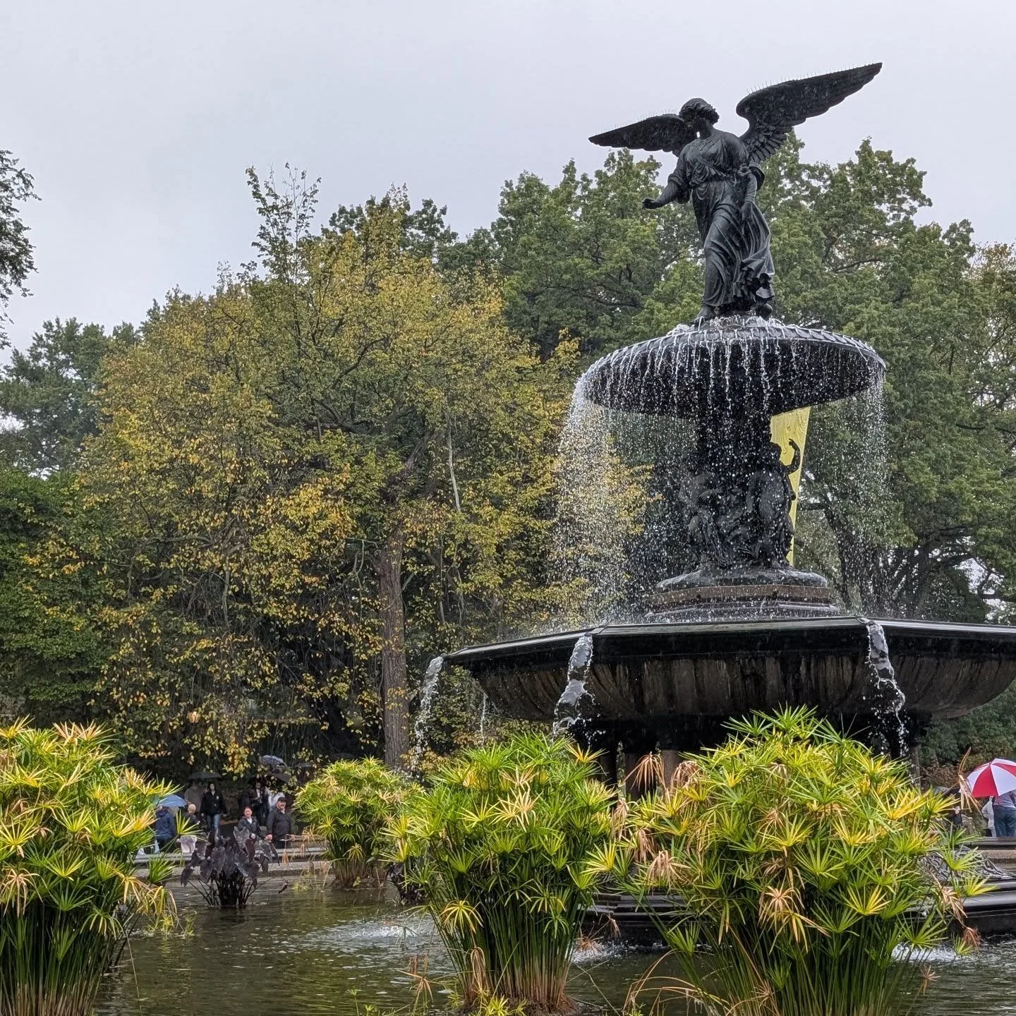 Bethesda Fountain, Central Park in the rain.

#nyctourguide