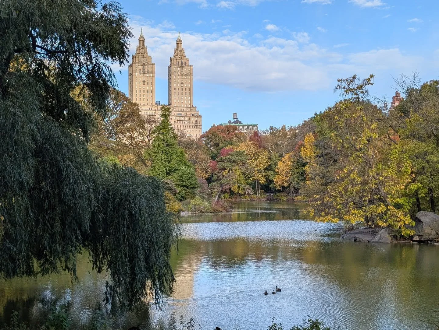 Leaves are changing! Central Park is the best place to take in the change.

#centralpark #boatpond #iloveautumn🍁 #nyctourguide #privatetour