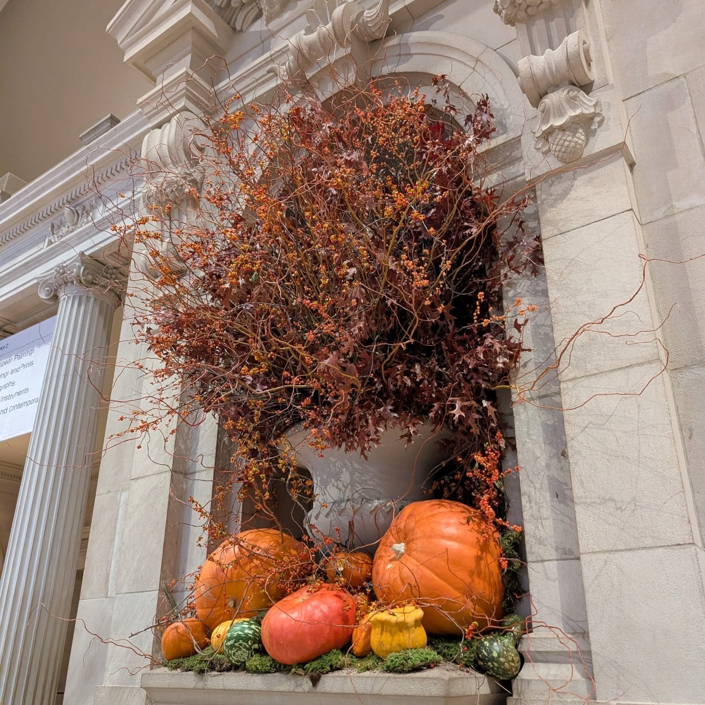 Happy Halloween 
#viewfromtheoffice #morningatthemet #nyctourguide