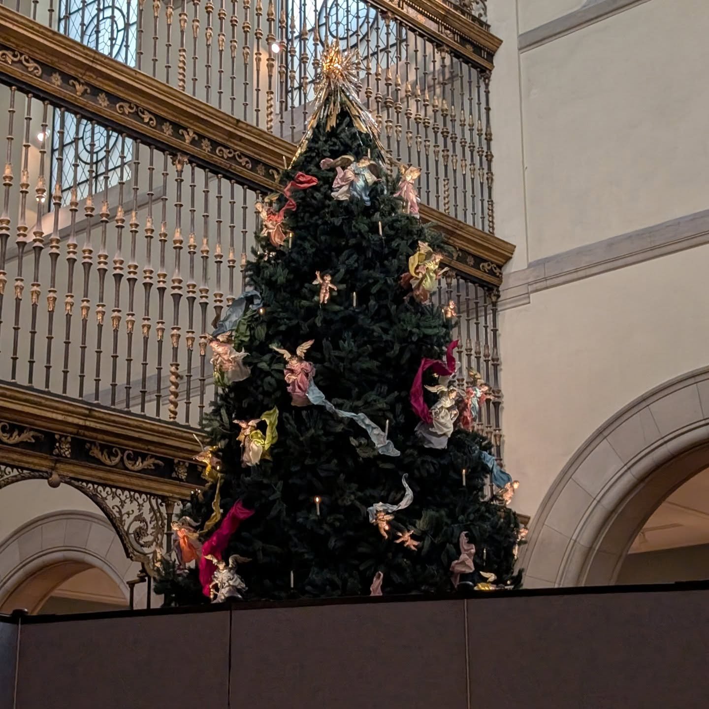 Christmas tree at #themetropolitanmuseumofart getting ready for it's close up.

#afternoonattheMet #holidaydecor