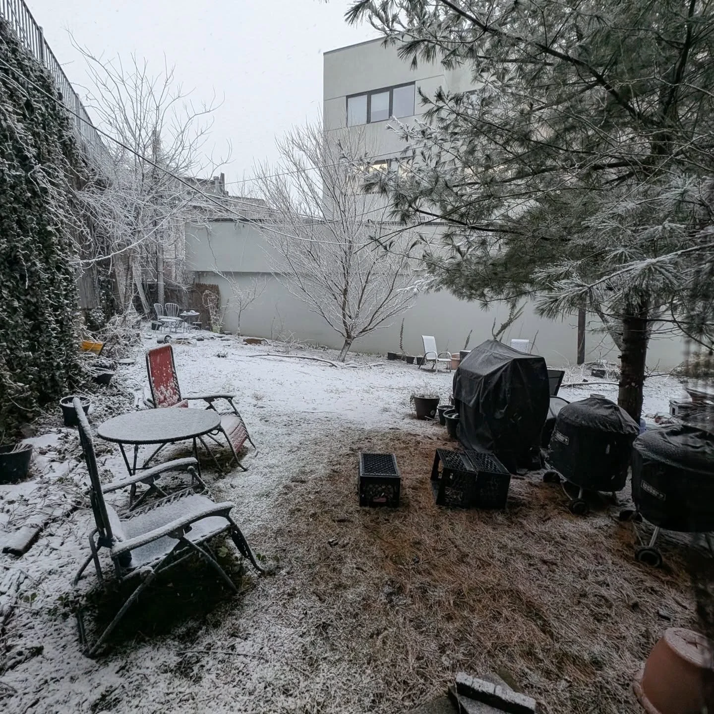 Snow in Brooklyn just before 5pm on Sunday. #snow #Brooklyn #blizzard