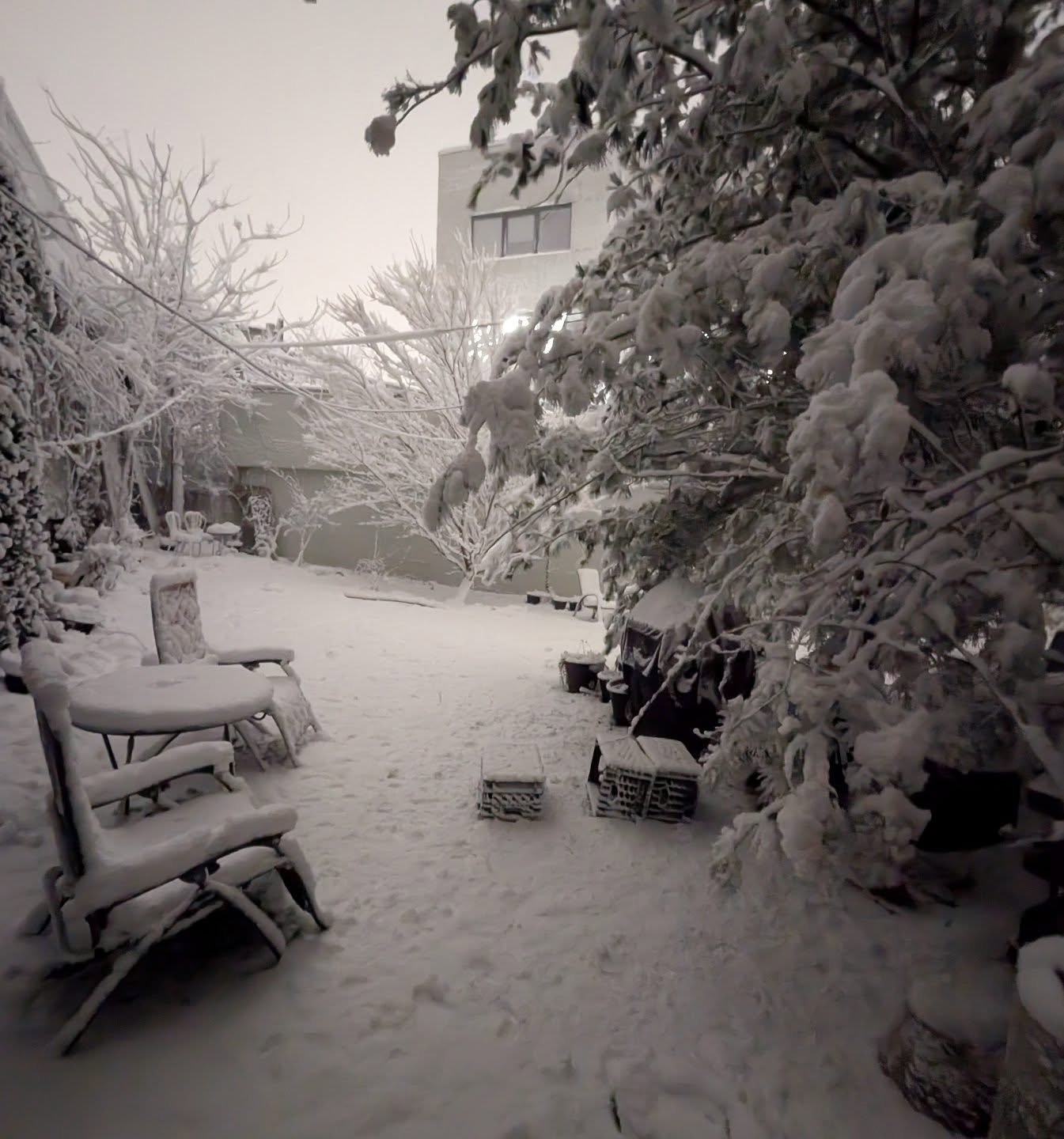 Snow piling up 
#Brooklyn