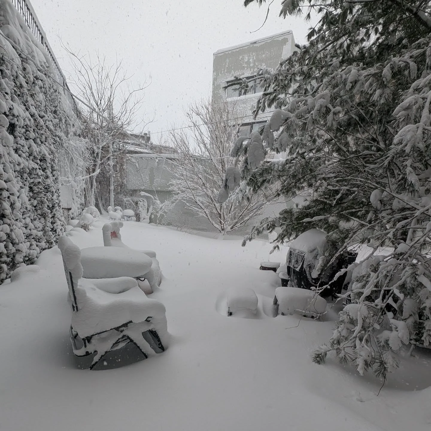 Snow at 9:30 Monday morning 

#snowday