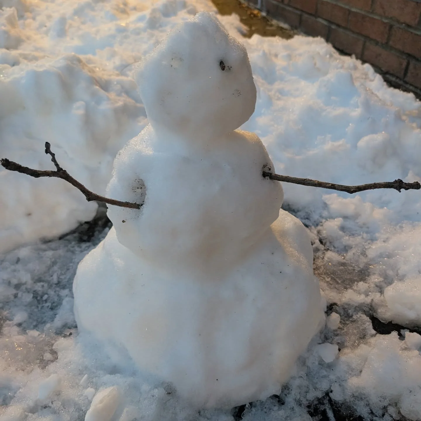New Neighbor. Seems quiet.

#snow #snowman
