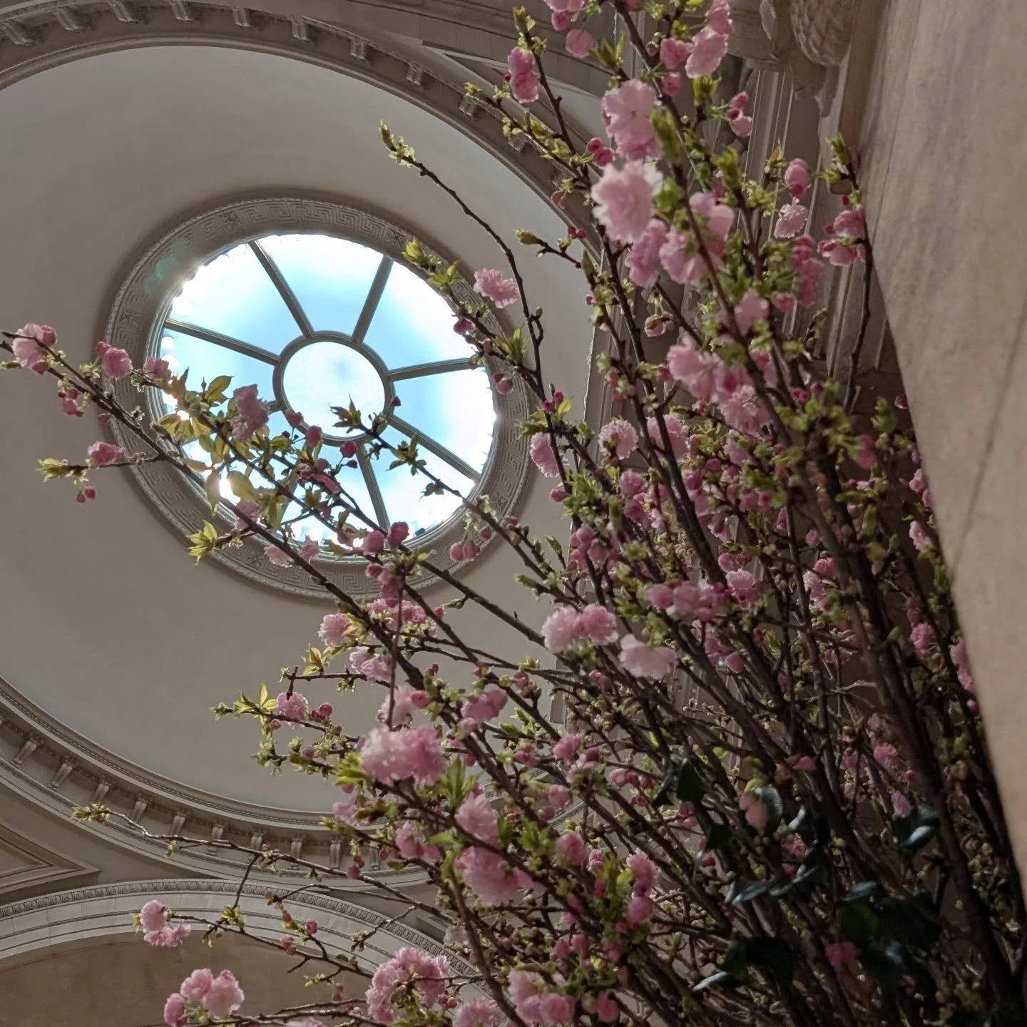 Morning at The Met. 

#morningatthemet #nyctourguide #ganyc