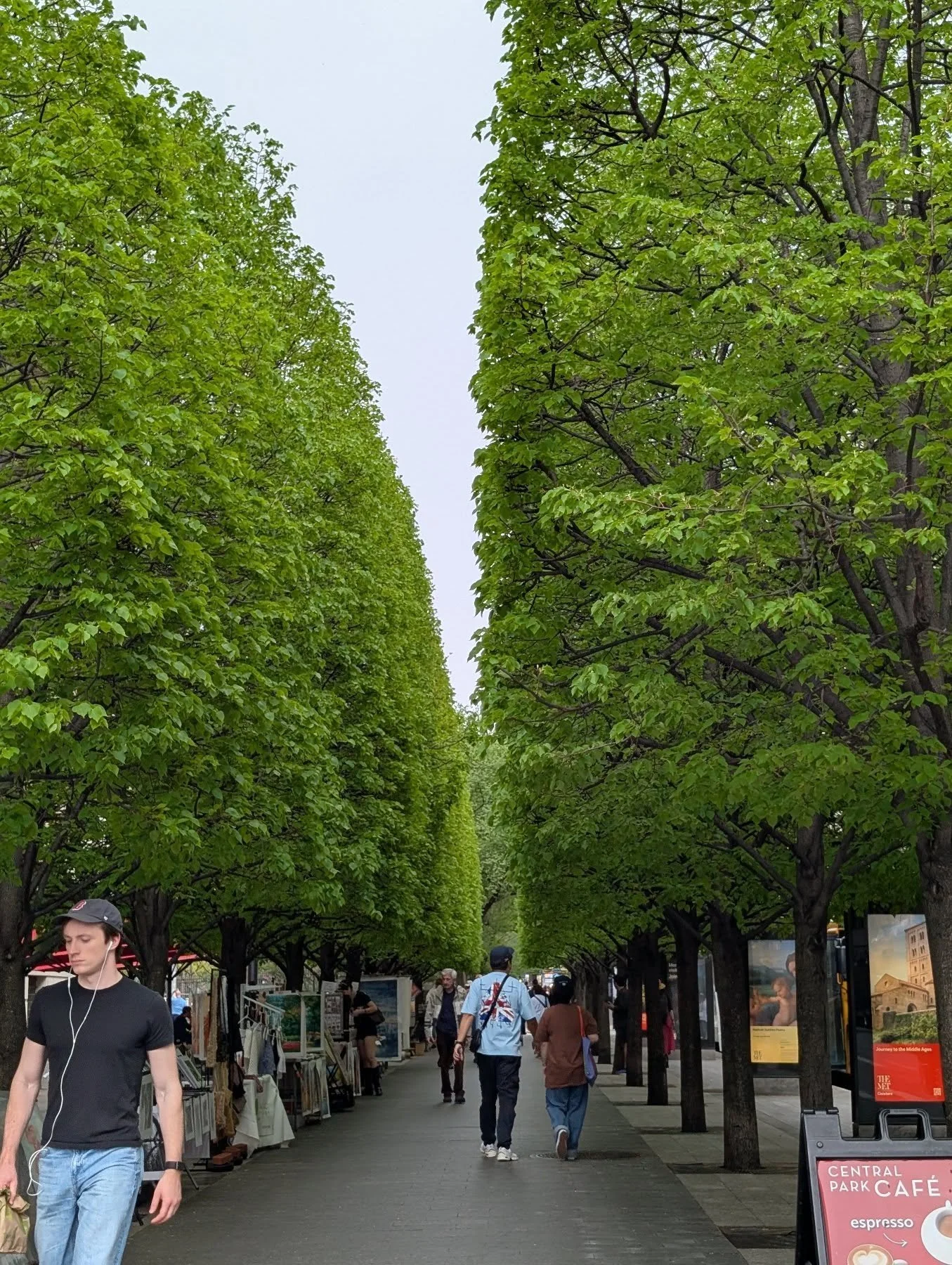 #morningatthemet #spring #trees