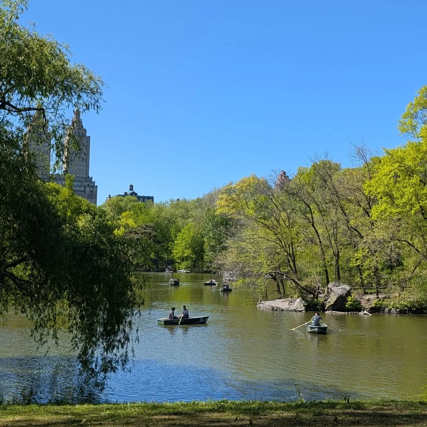 Spring time in Central Park 

#nyctourguide
