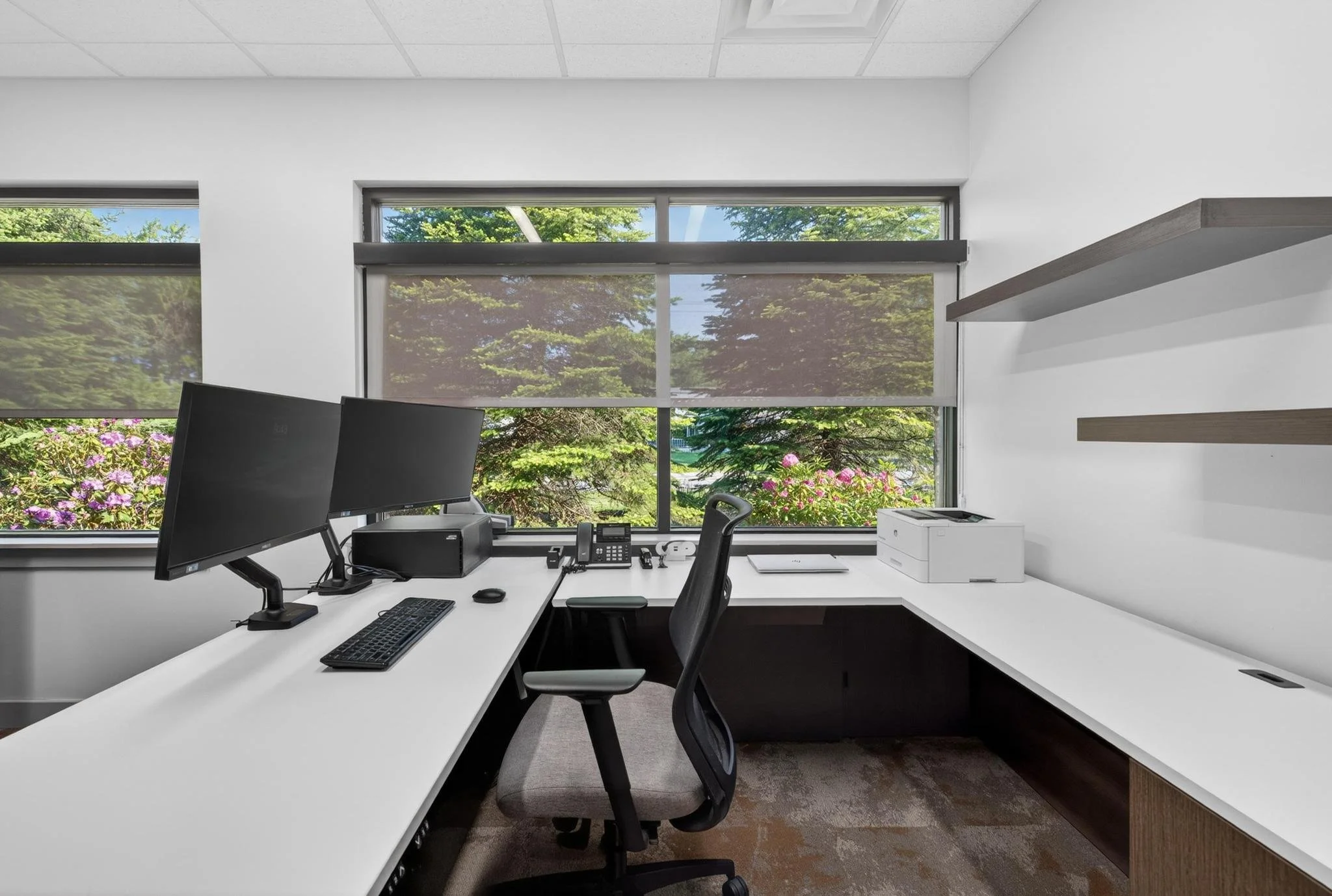 Young Development Office