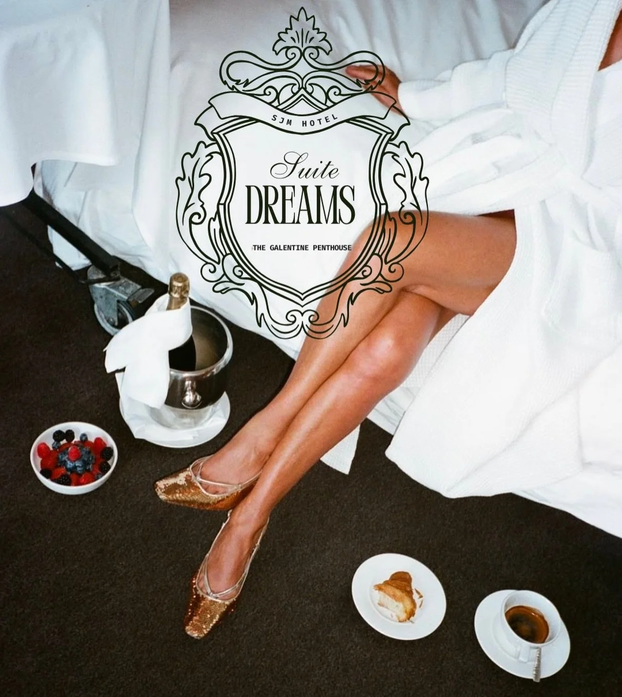 This isn&rsquo;t just a party.
It&rsquo;s a reservation.

Suite Dreams: The Galentine Penthouse&mdash; 1.13.26 

TICKETS DROPPING SOON.✨