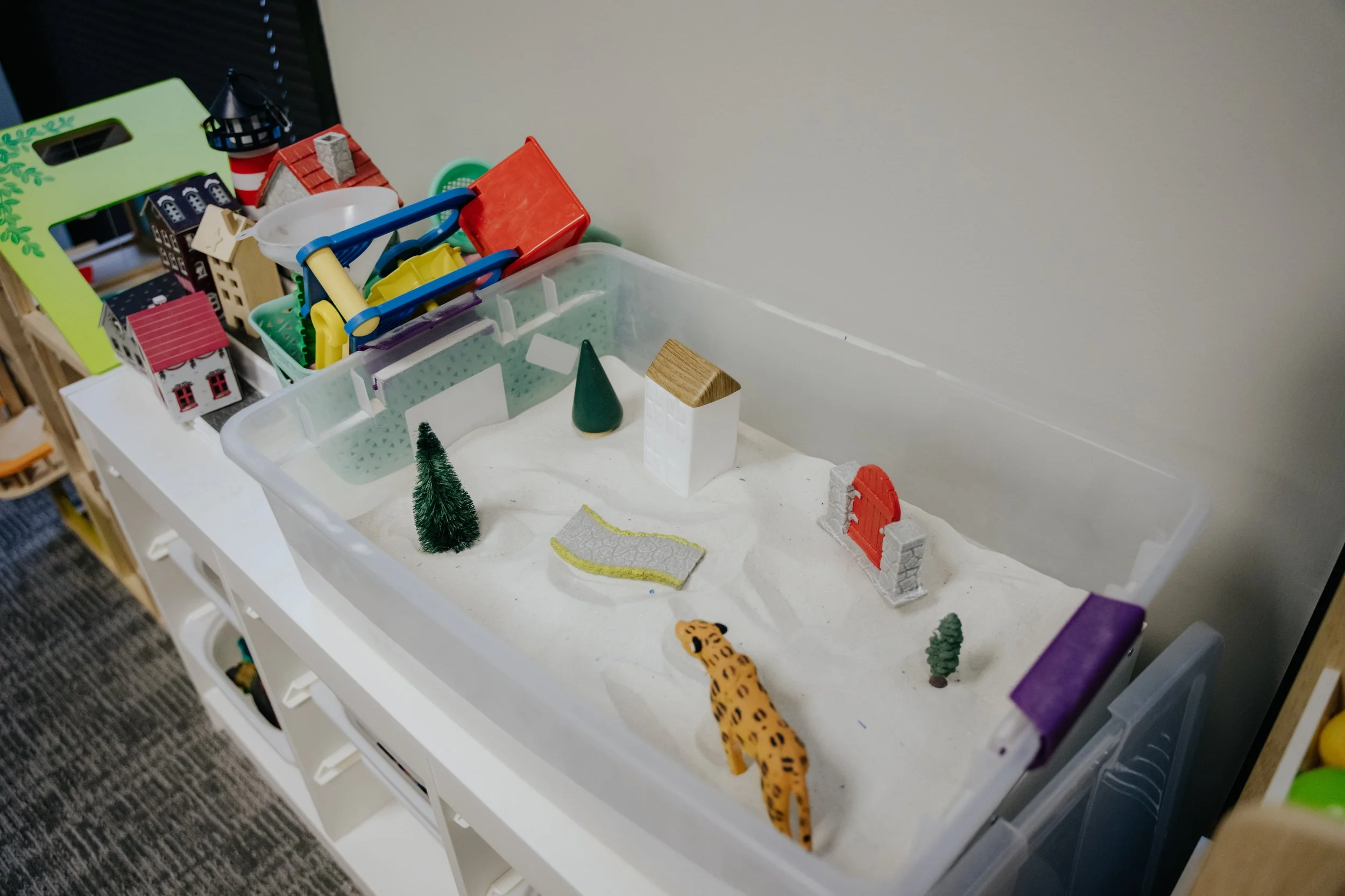 Are There Any Therapy Centers in Houston That Offer Play Therapy for Children?