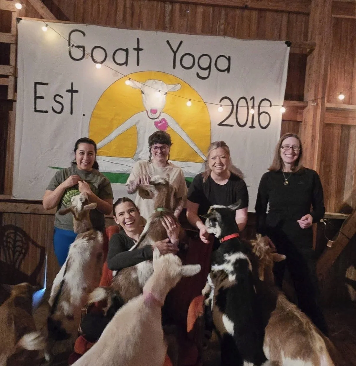 Our team at goat yoga
