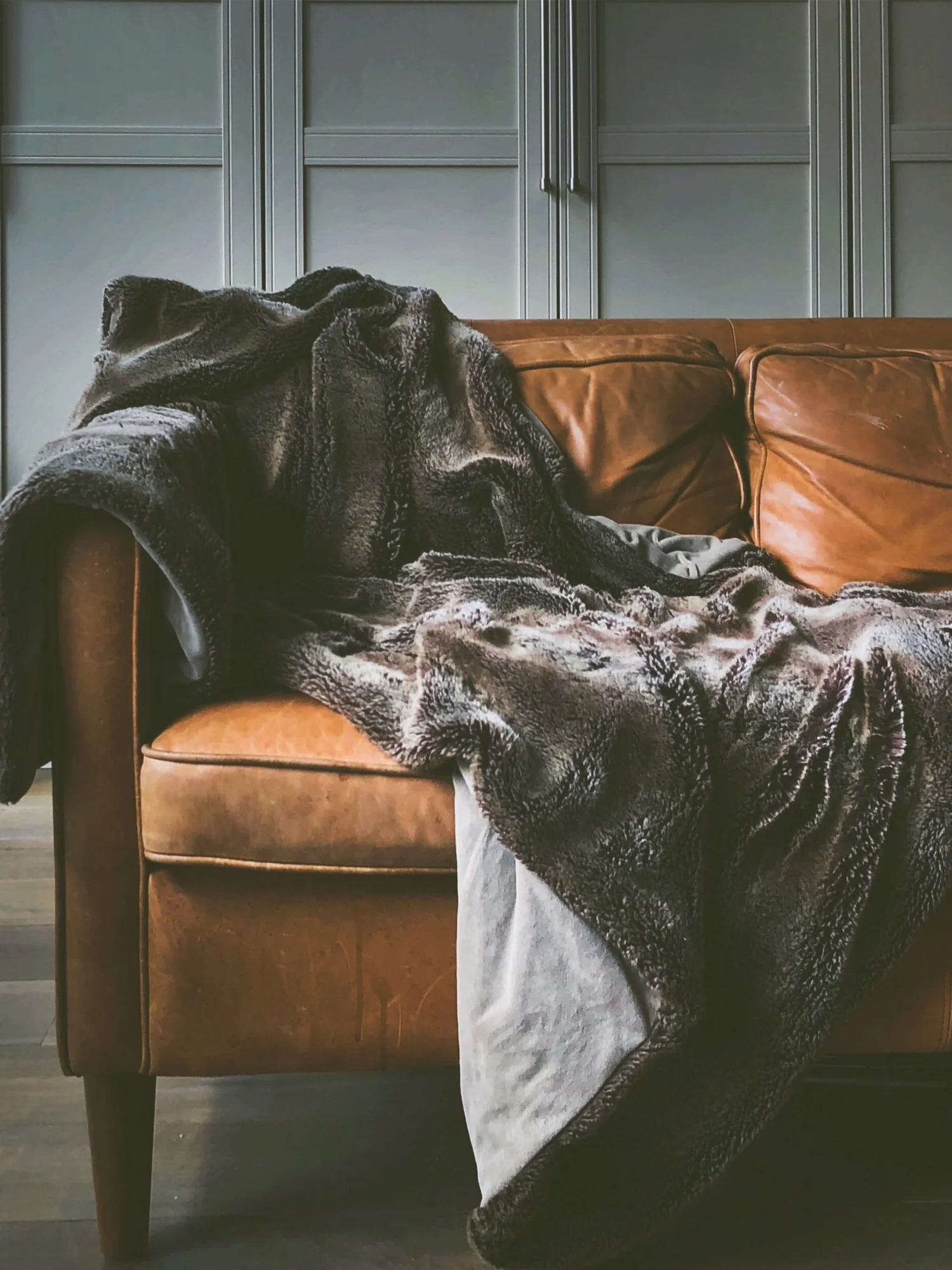 A cozy dog resting on a sofa