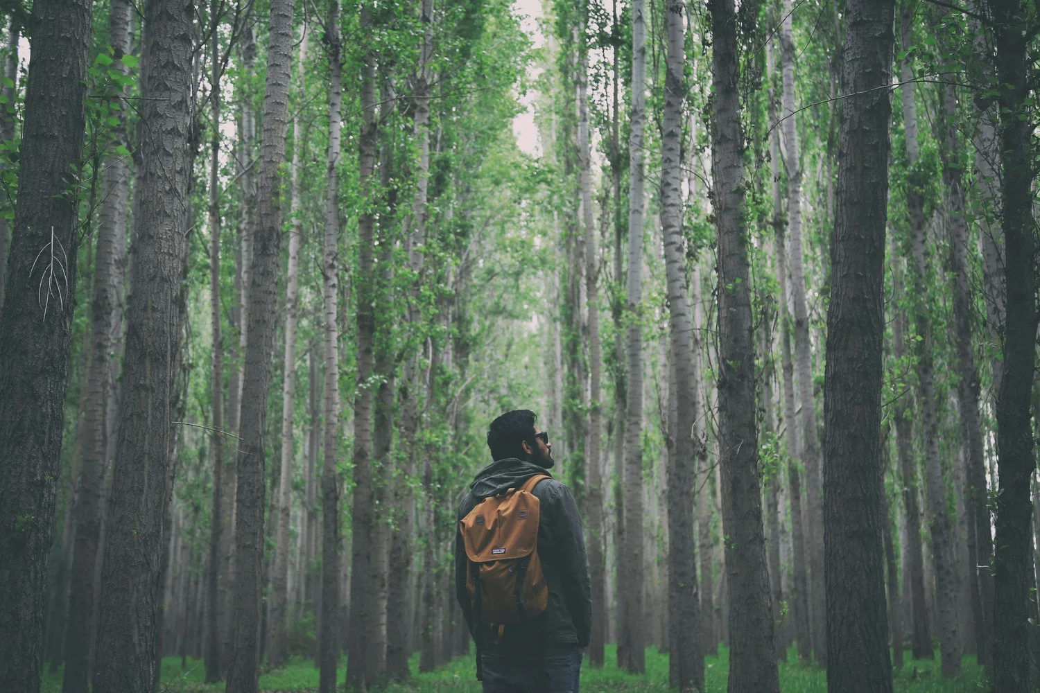 A calm, grounding space