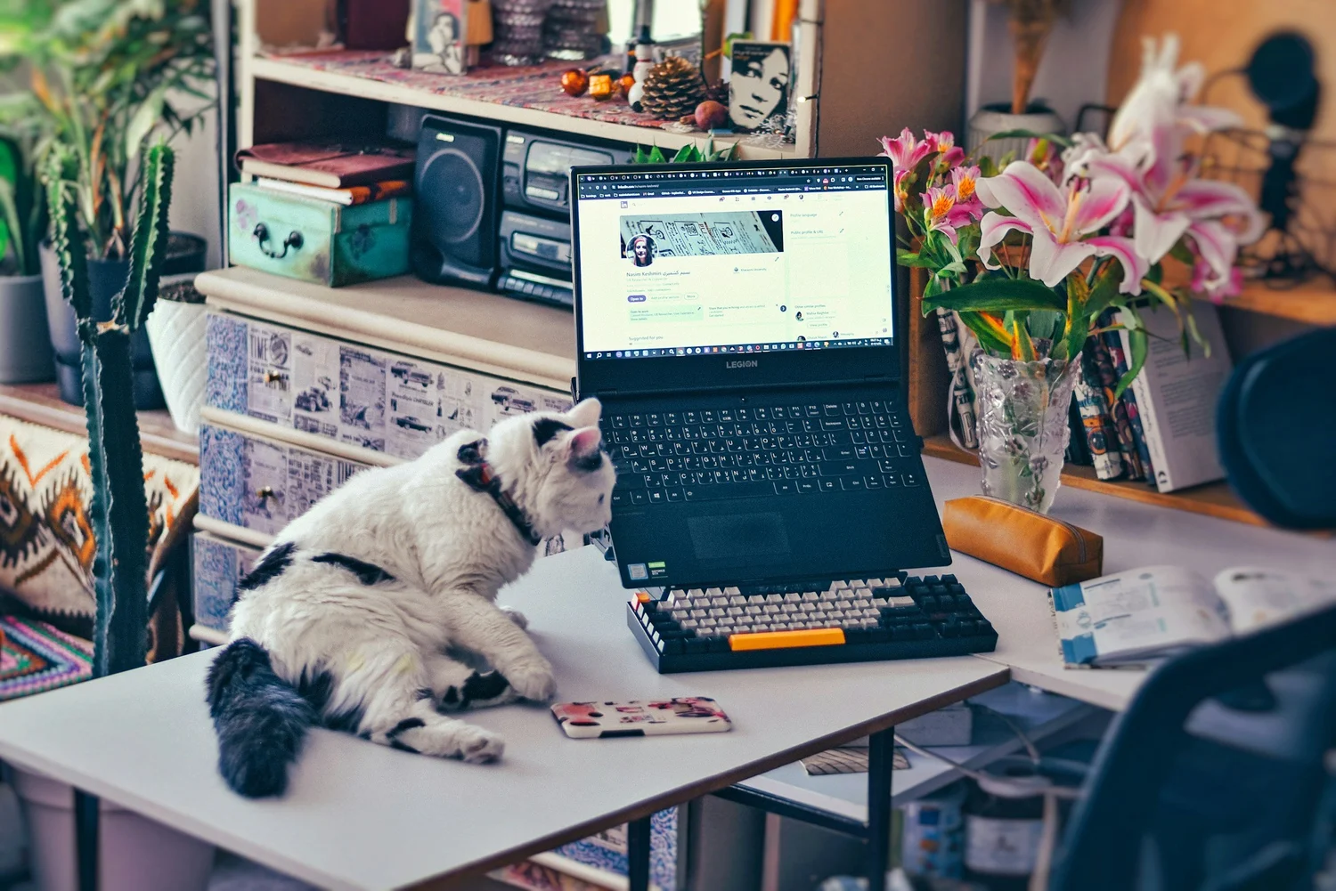 A cozy home office setup with a cat