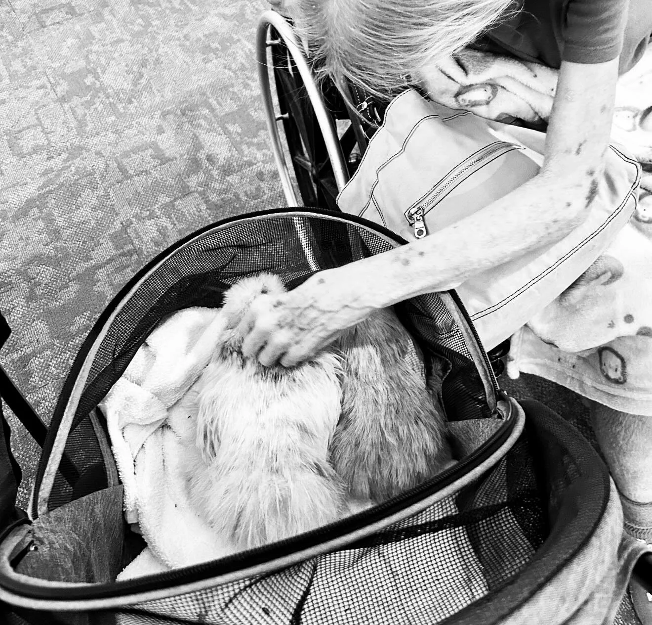 September is here! Fall has a lot in store for us, and we are cranking things in to high gear.  Community visits start back up, our big fundraiser is next month in Dallas and we have many other things up our sleeves to share soon. 

With increased ac