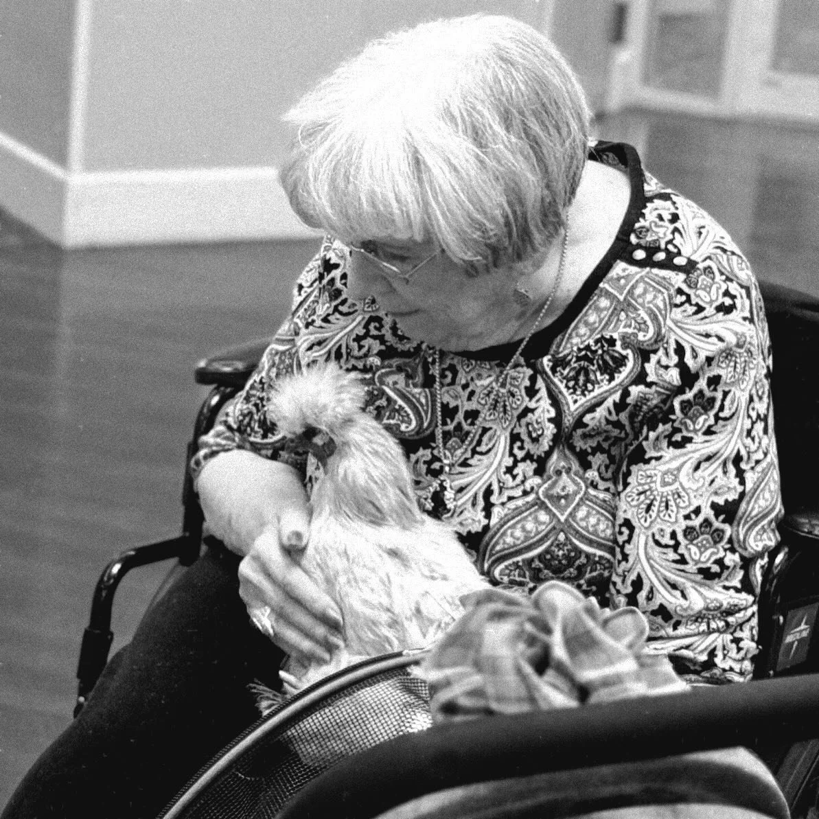 🥳We are so excited to start our Community Visits back up for Fall! 

This week kicks off our season of visits. How does it work? We bring some hens (in their stroller of course) and a portable coop for an afternoon of chicken therapy for residents i