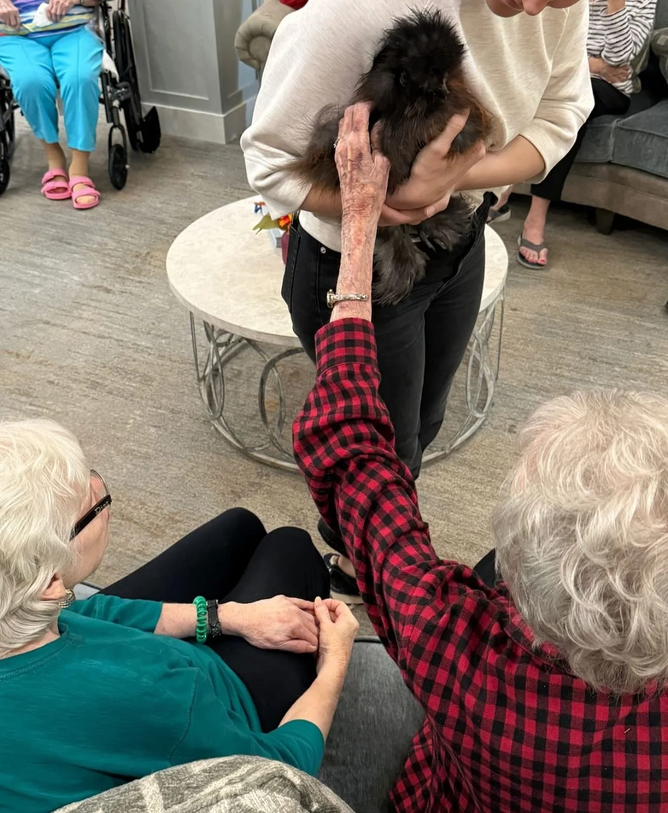 We had a fantastic day yesterday at a new Senior Living Community kicking off our Fall Hen Therapy Visits! The residents were lovely, engaged and asked so many great questions about the Silkies. We even worked in a quick visit to the residents in Mem