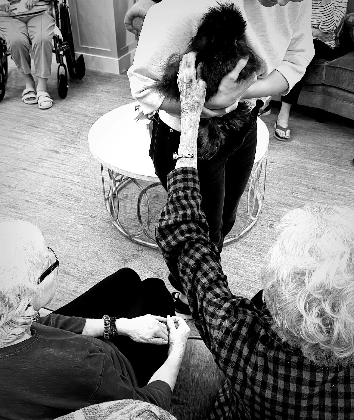 Hen Therapy visits are a big focus for us in 2026. We are working to expand our network of Senior Living Communities that we visit and are always adding new locations.  Spreading joy to as many Seniors as possible is our goal, and we do this at no co