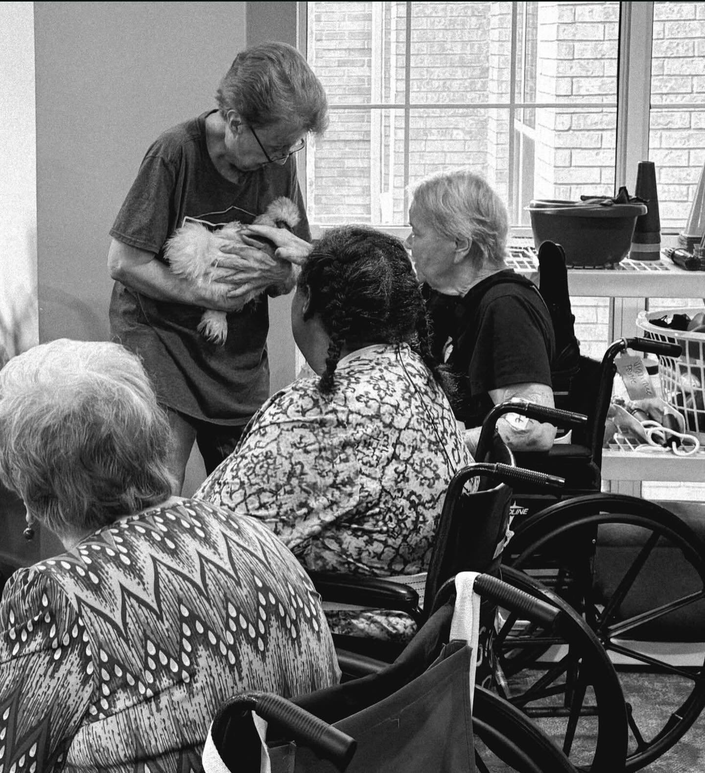 Magical moments. 💚 #seniorcare #seniorliving #therapyanimals #chickentherapy