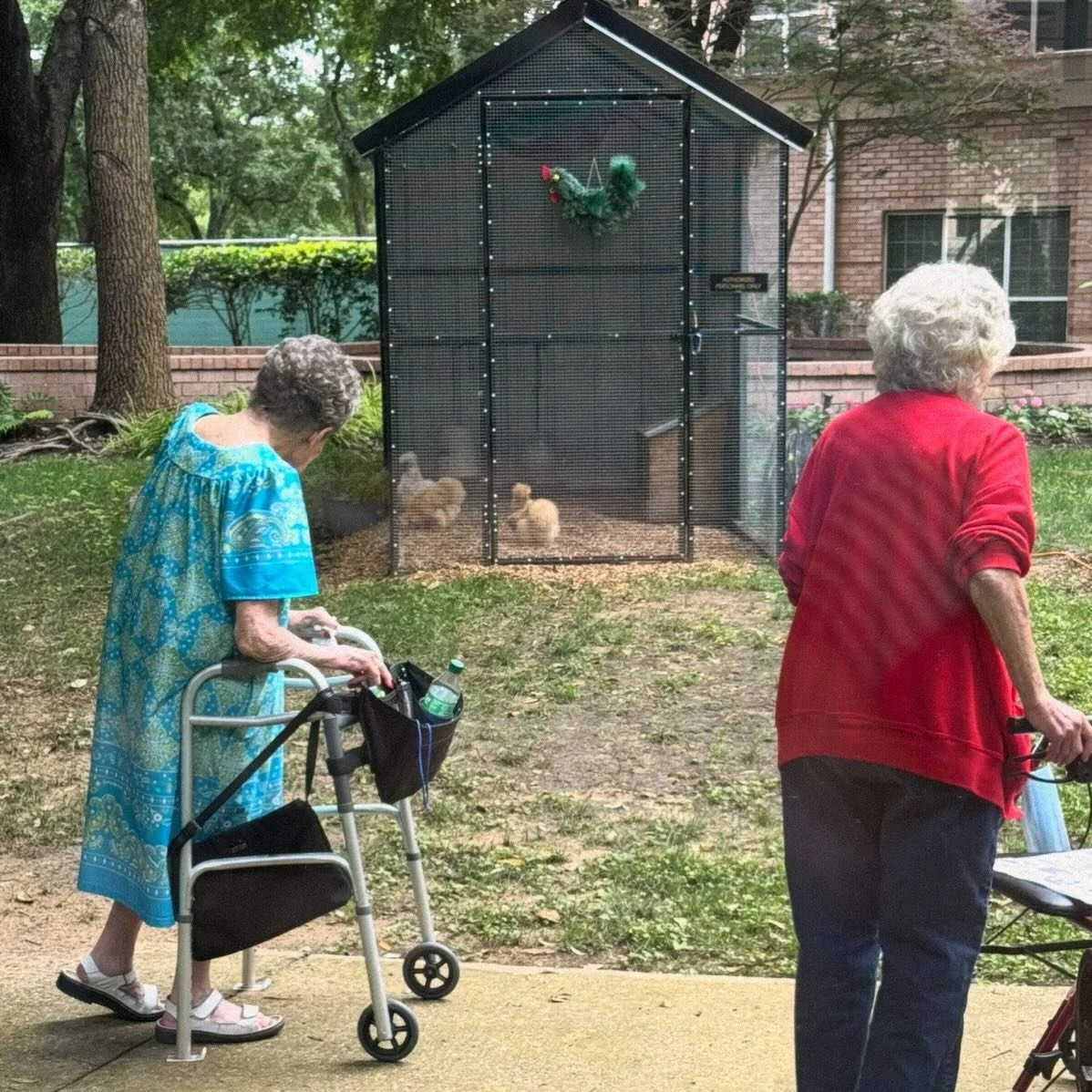 The quality of our relationships determines so much in our lives. We&rsquo;ve witnessed first hand how these little fluffy chickens bring a room together, spark conversations, laughter and joy.  In some cases, gathering briefly to see the hens might 