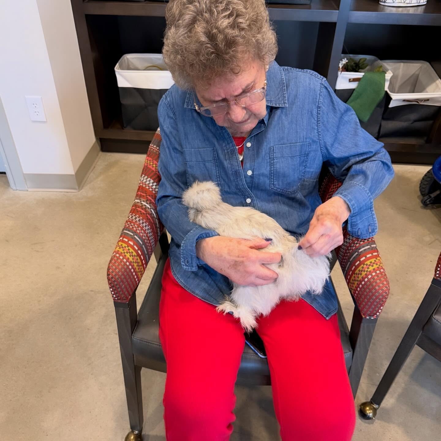 We had such an incredible visit today to a new Senior Living Community! The residents were so engaged and we enjoyed visiting with so many and getting lots of chicken photos on laps.  This sweet resident just celebrated her 100th birthday this week a
