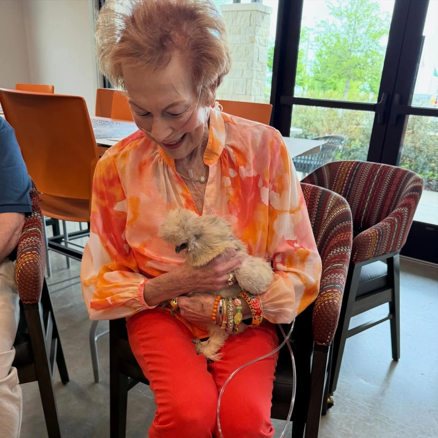 Chicken snuggles are always a good idea.

#seniorcare #seniorliving #animaltherapy #silkies #nonprofit