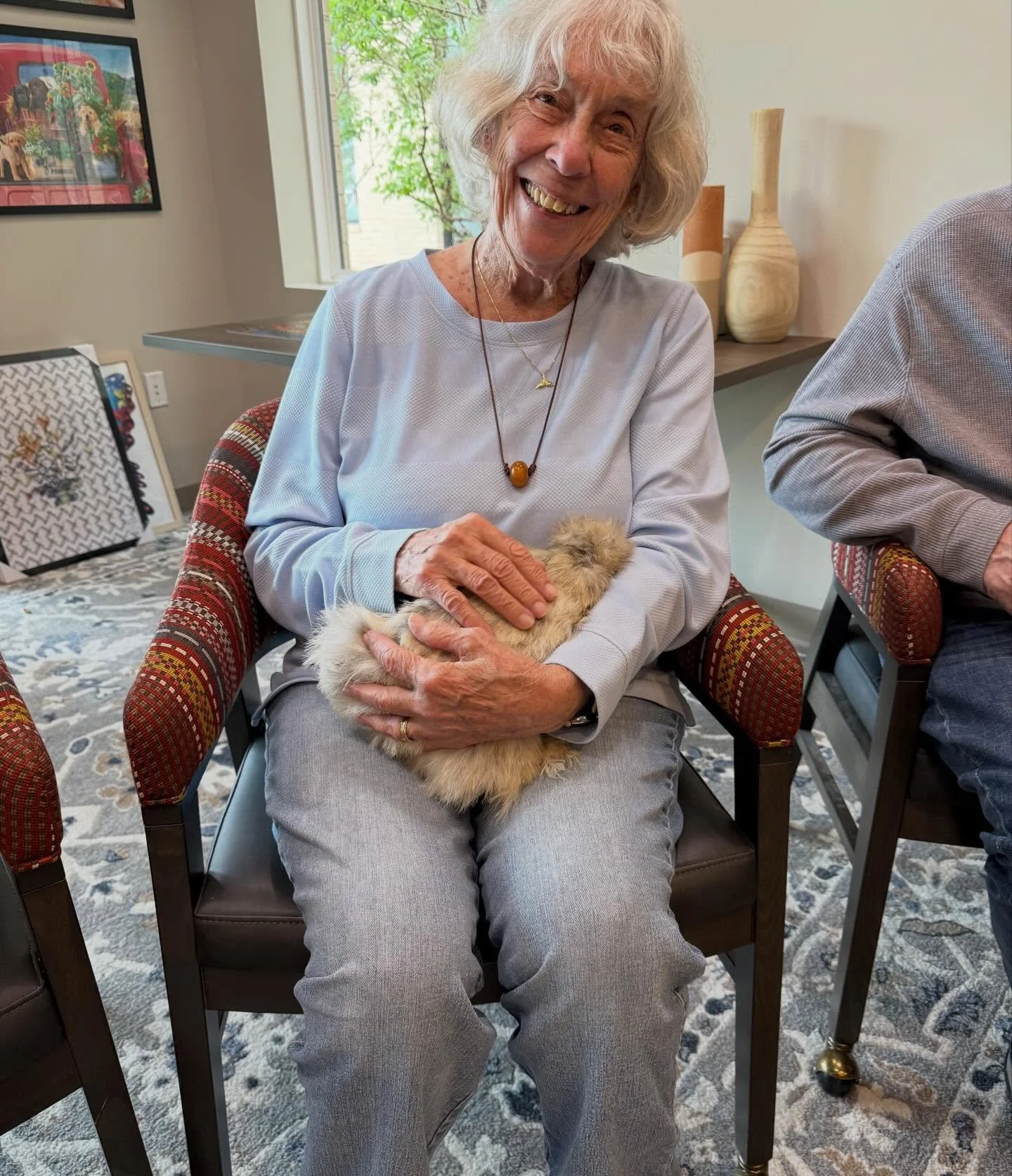 That time Donut fell asleep in a resident&rsquo;s lap. 💚 #seniorcare #seniorliving #silkies
