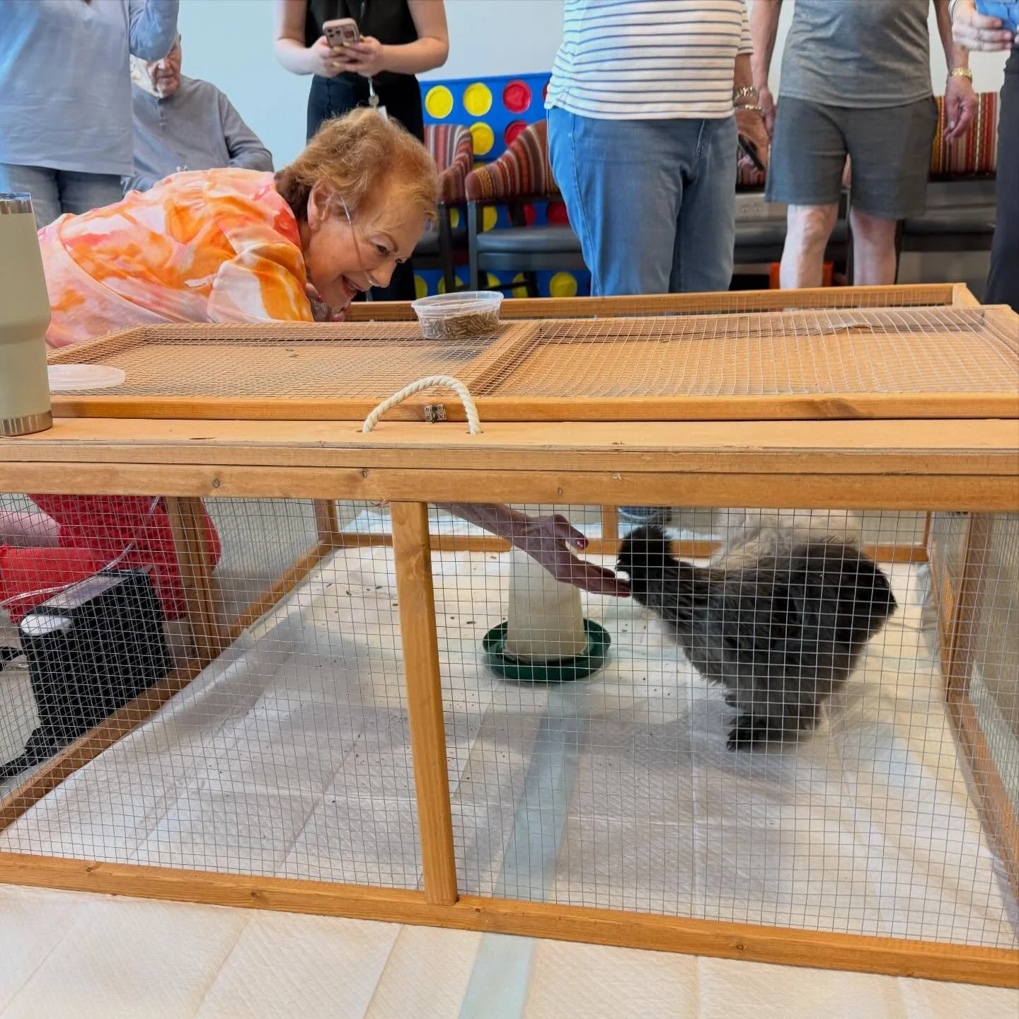 Summer is quickly approaching , which means we have supplies to get to keep the flocks safe and healthy. Fans, new bedding for coop refreshes, supplements and more are all needed. 

🐓We need help from our donors to cover all these things, can you he