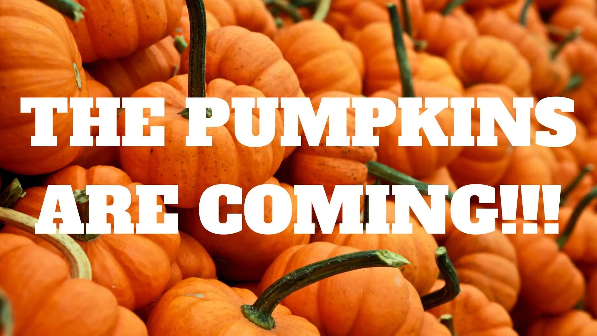 Pumpkin Delivery