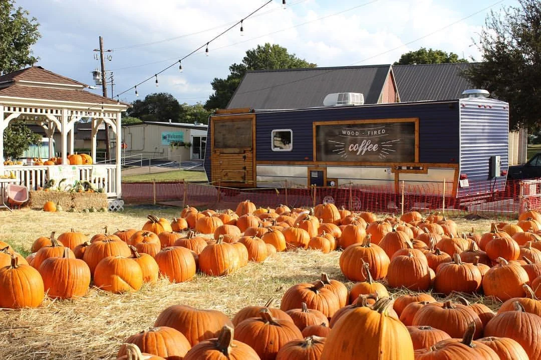 In honor of our 10 YEAR ANNIVERSARY OF THE PUMPKIN PATCH, a throwback to our first Pumpkin Patch in 2015. #tbt #pumpkinswithpurpose
