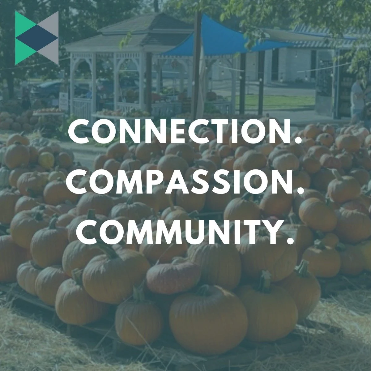 The annual South Austin Church Pumpkin Patch is a place for the community to serve, connect, and help others.  Community volunteers unload and set up the pumpkin patch, which is open daily in the month of October, and all of the proceeds from the sal