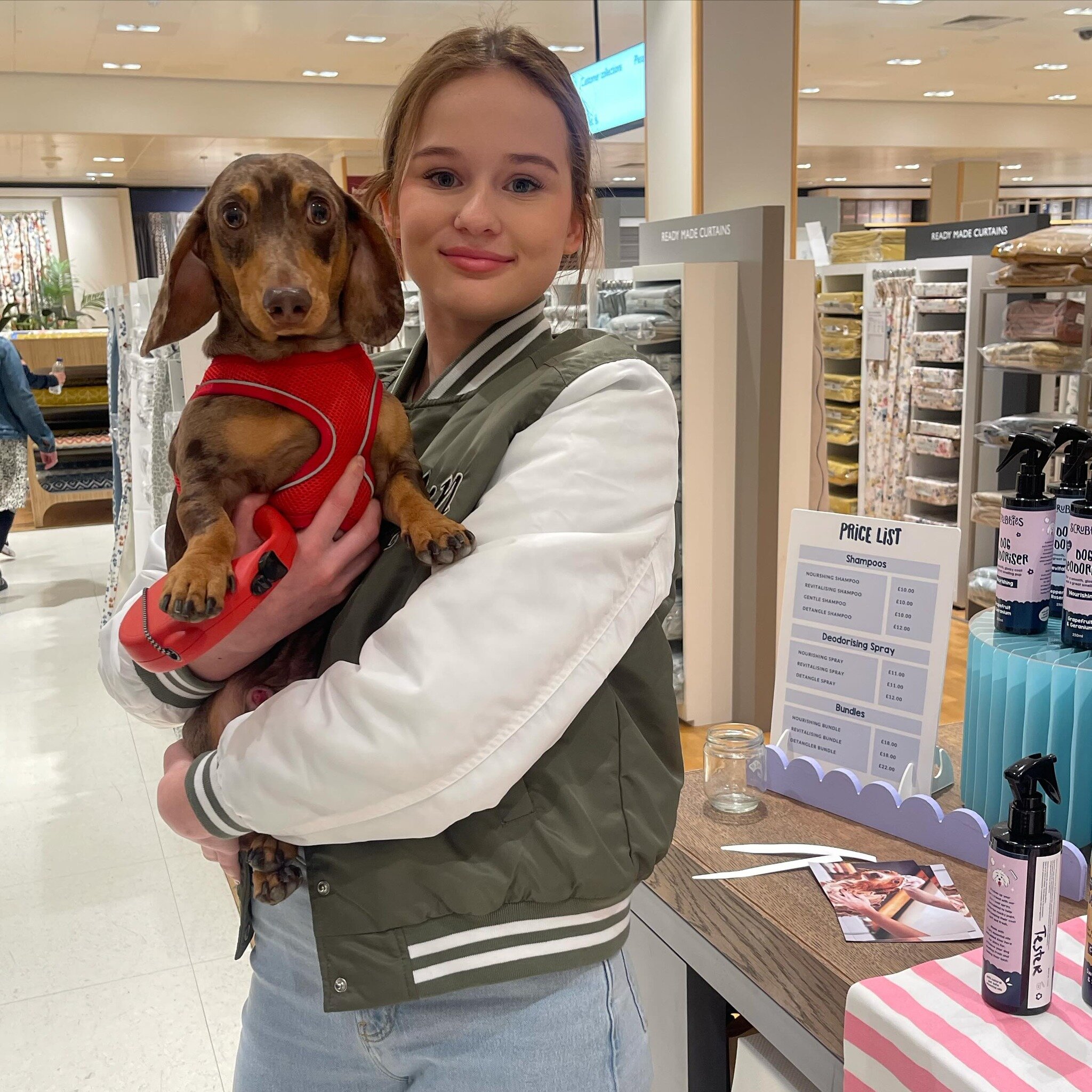 Wonderful to meet @scoobythedachshund_ today! It&rsquo;s been brilliant meeting all our Bristol doggies in real life and hearing how much you all love our products ⭐️🌺

@johnlewis @mallcribbs @thegreatbrandexchange 🩷

#SmoothFur #HappyPup #Grooming
