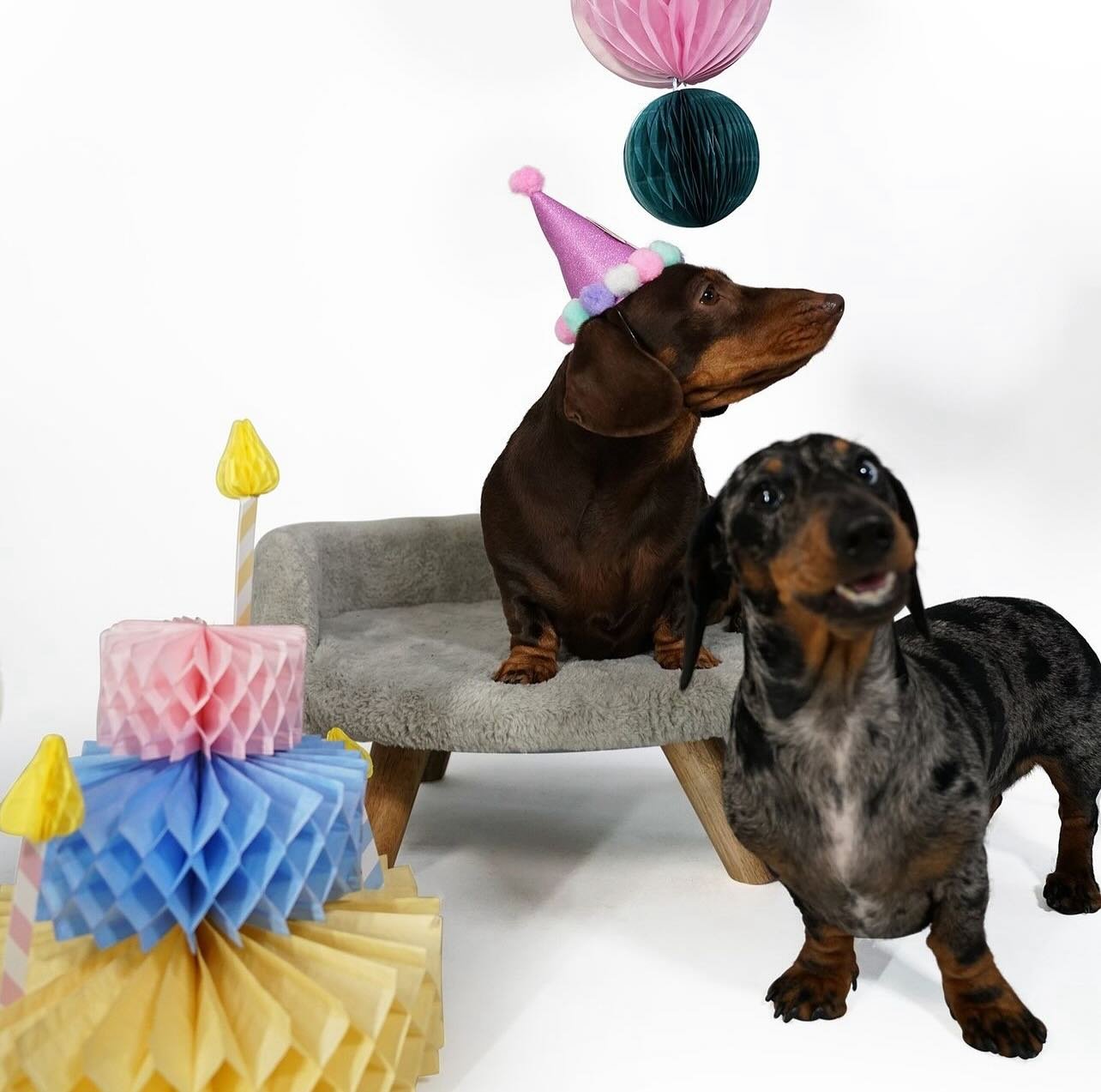 We&rsquo;re super excited to announce you can now buy scrubbies in your @tinytailshamper!!

What better way to treat your little one to something incredible for their birthday 🎁 or special occasion 🥰. Read our latest blog to find out more.