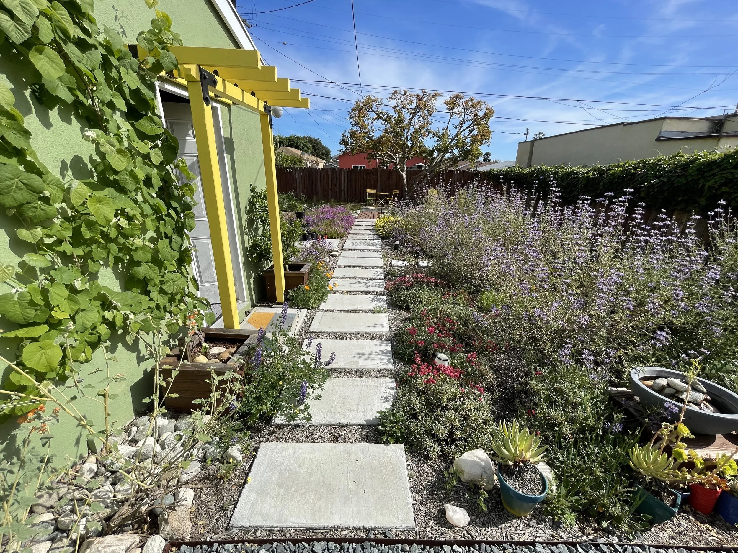 3 Years After Planting: A grape vine crawls along the garage and a small concrete patio under the tree provides space to enjoy some shade and the views of the yard.