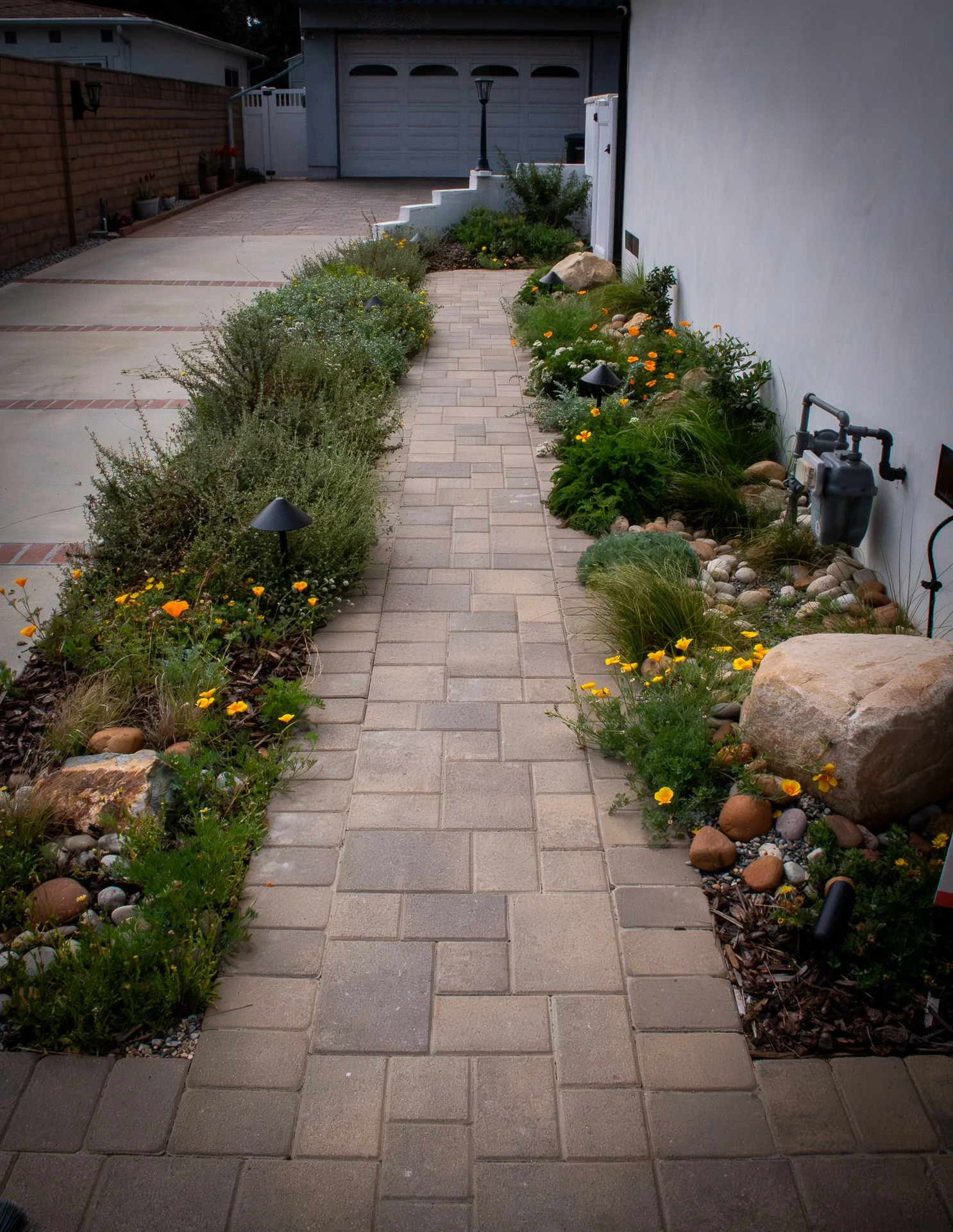 After Planting: A simple walkway on the side of a house is transformed into habitat for a variety of birds, bees and butterflies while also controlling stormwater and creating visual interest for the homeowners year round.