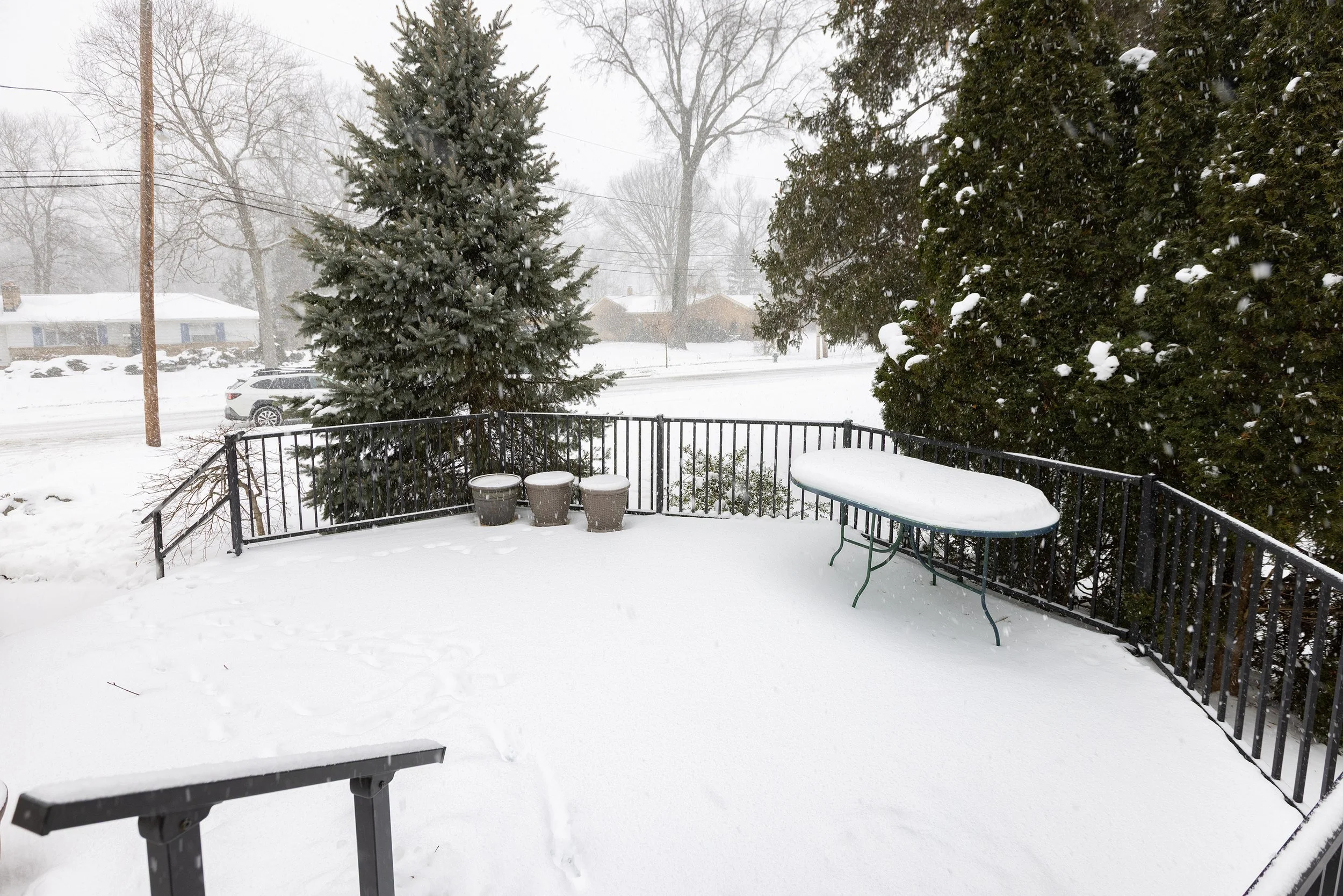 040_Gregg Wasilko.jpg