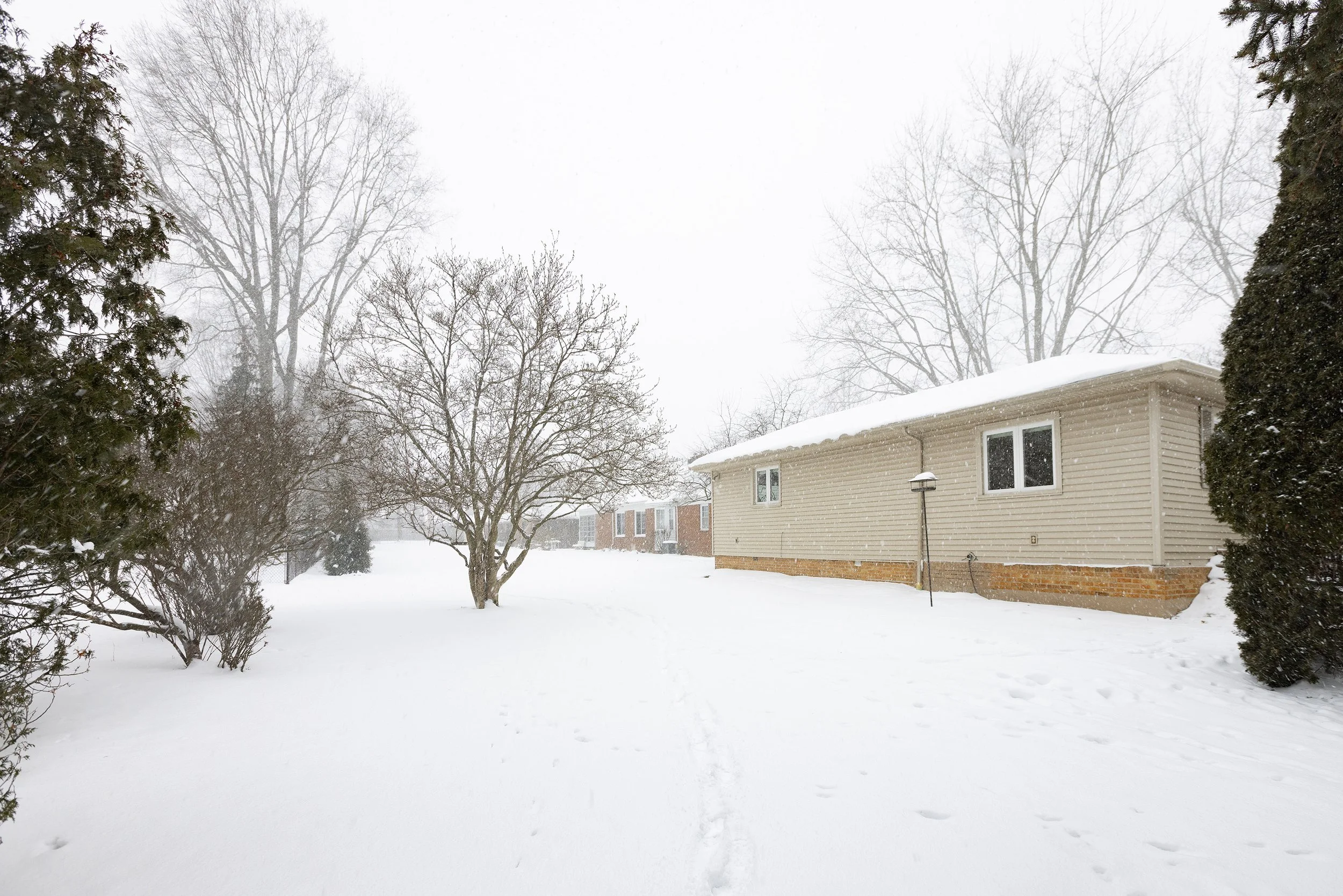 043_Gregg Wasilko.jpg