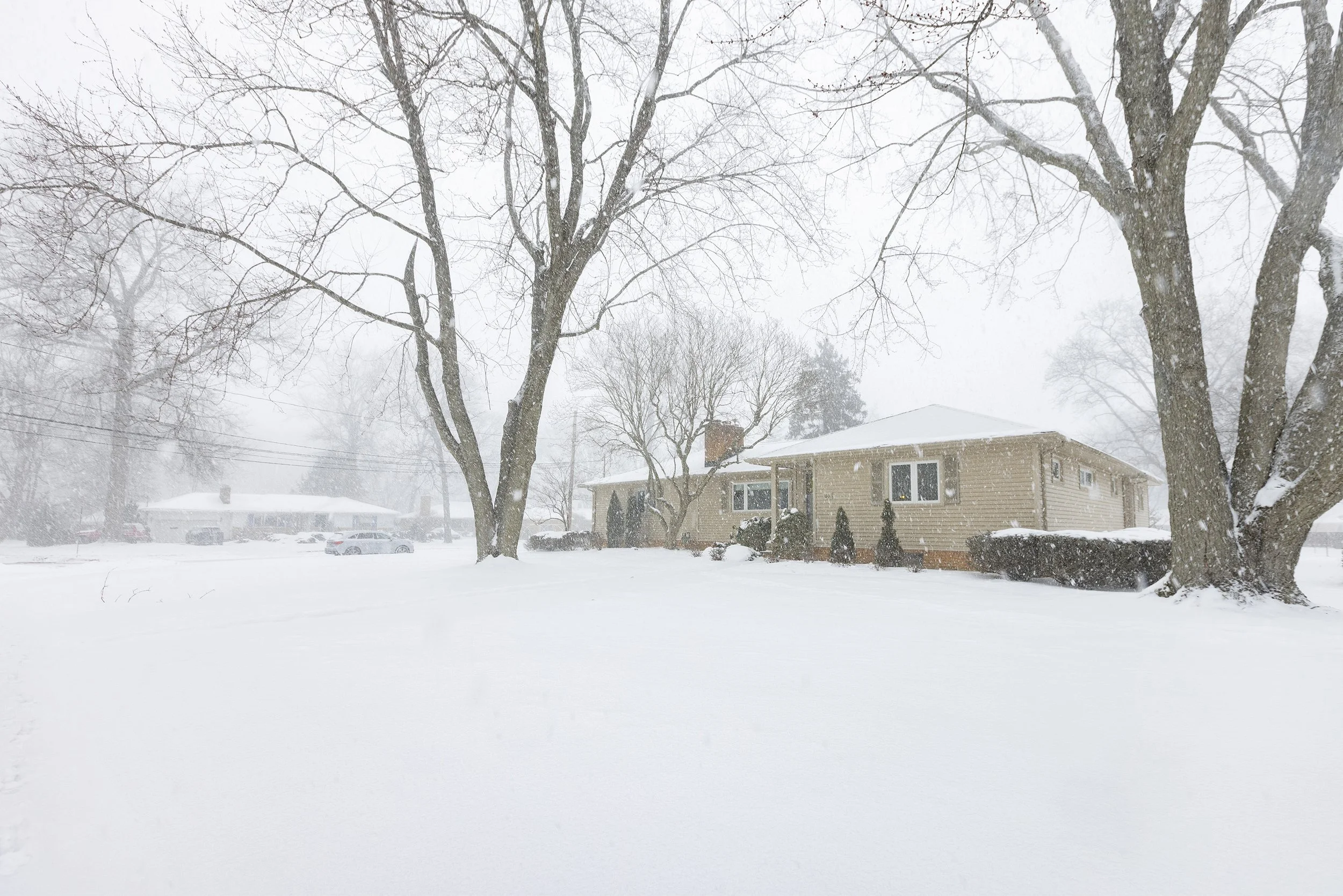 004_Gregg Wasilko.jpg