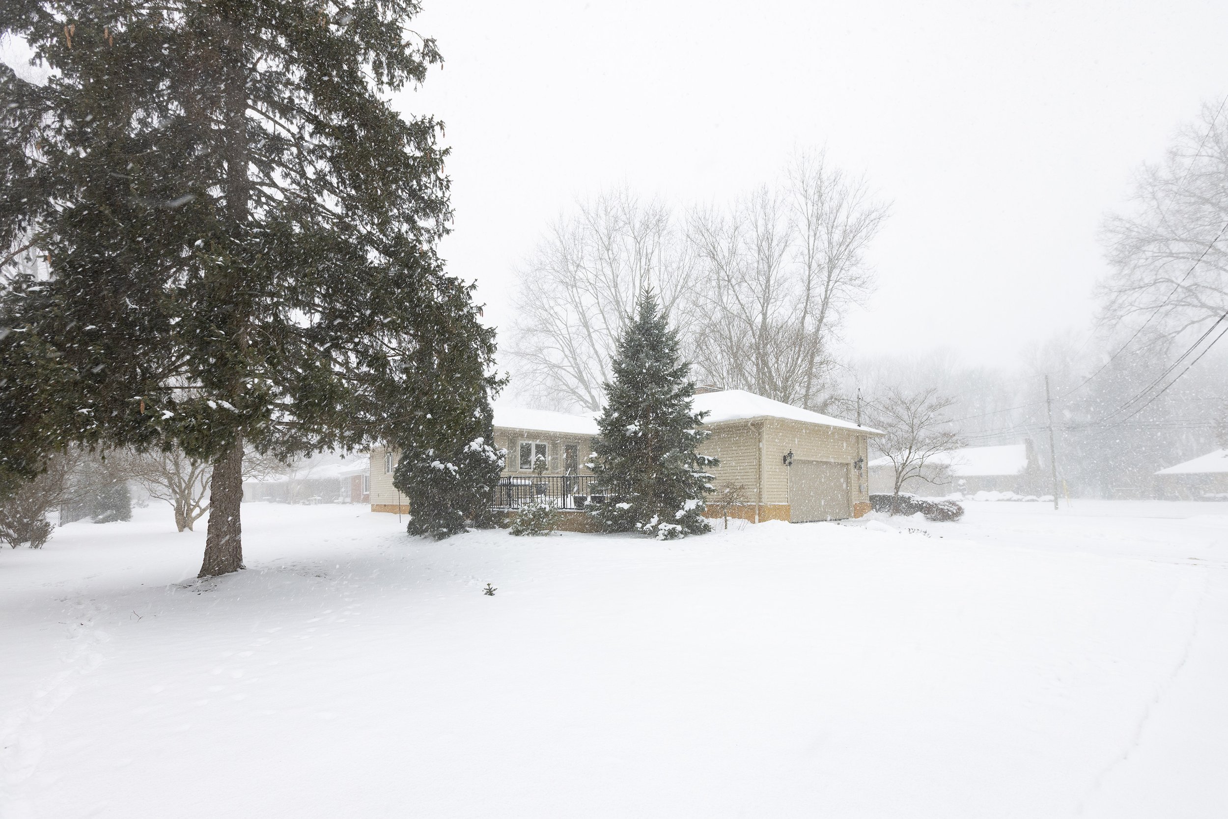 044_Gregg Wasilko.jpg