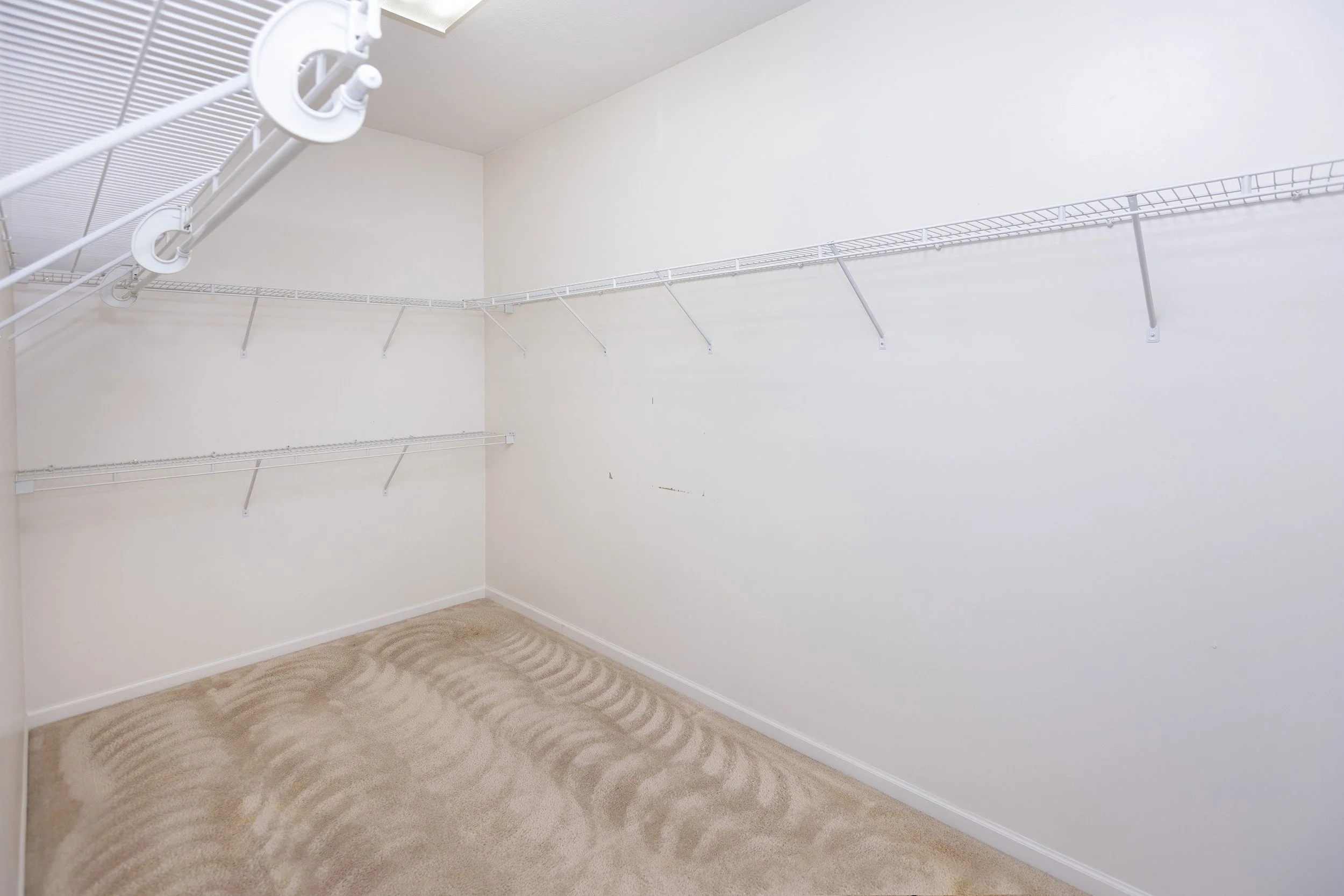 031_Gregg Wasilko.jpg