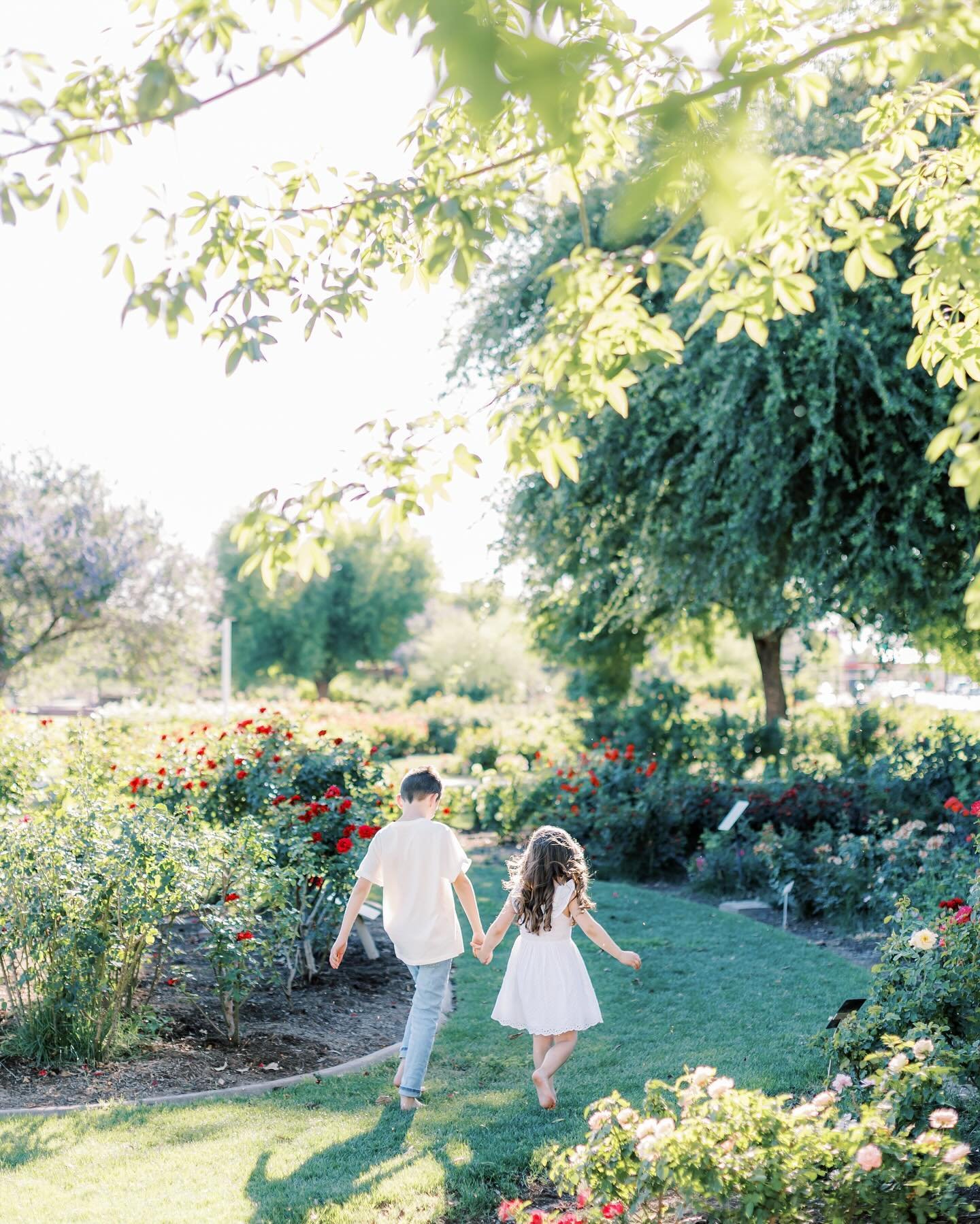 And just like that my kids are out of school and on summer break☀️

I delivered the last of my spring galleries this morning so I can have an empty To-Do folder to kick off the summer with them. 

Office hours will be limited for the next few months 