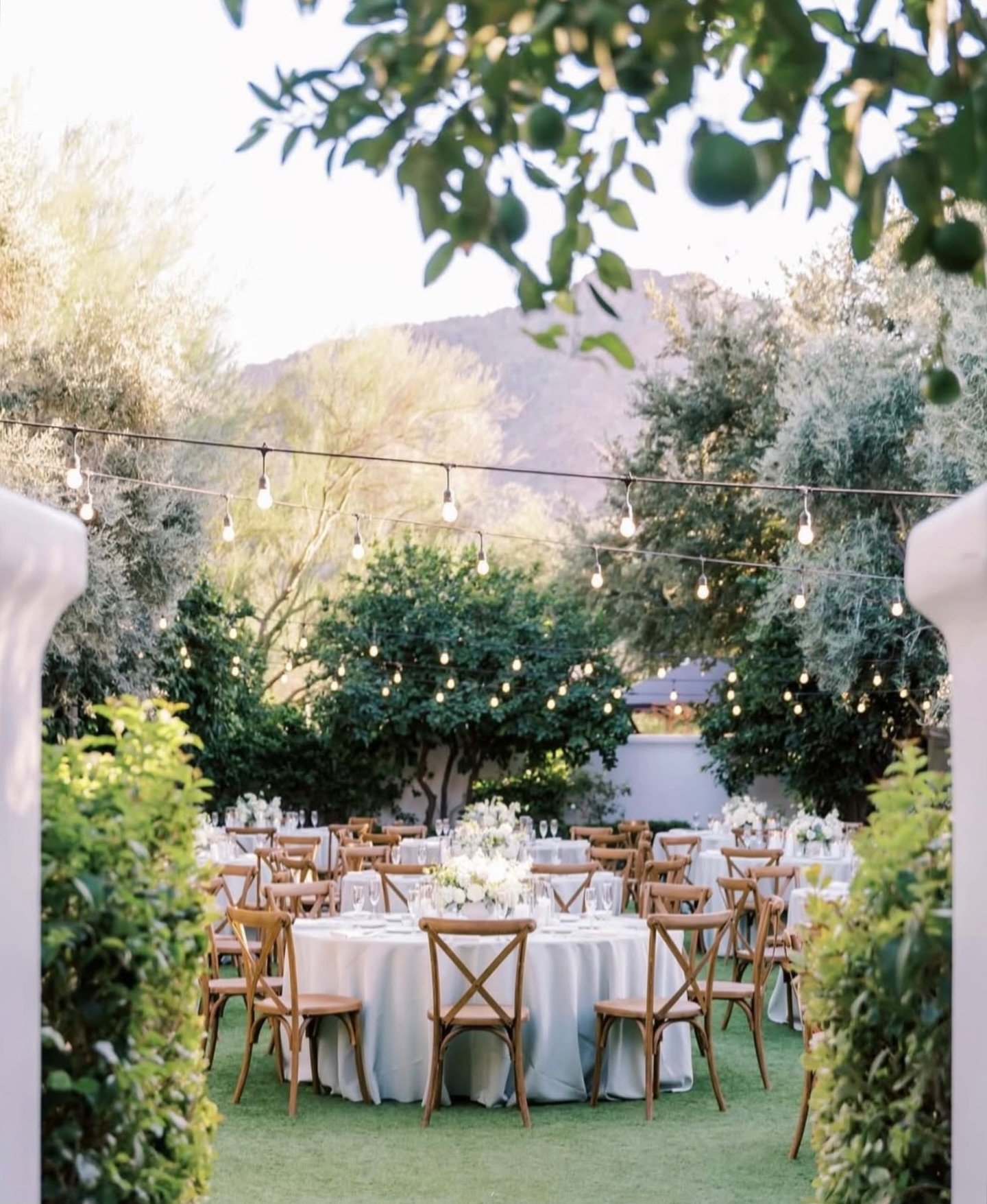 Spring wedding season begins this week!

Looking ahead to all of our 2026 weddings and feeling so inspired by what&rsquo;s to come this year. 

More intentional design. More thoughtful details. More couples who care deeply about why they&rsquo;re get