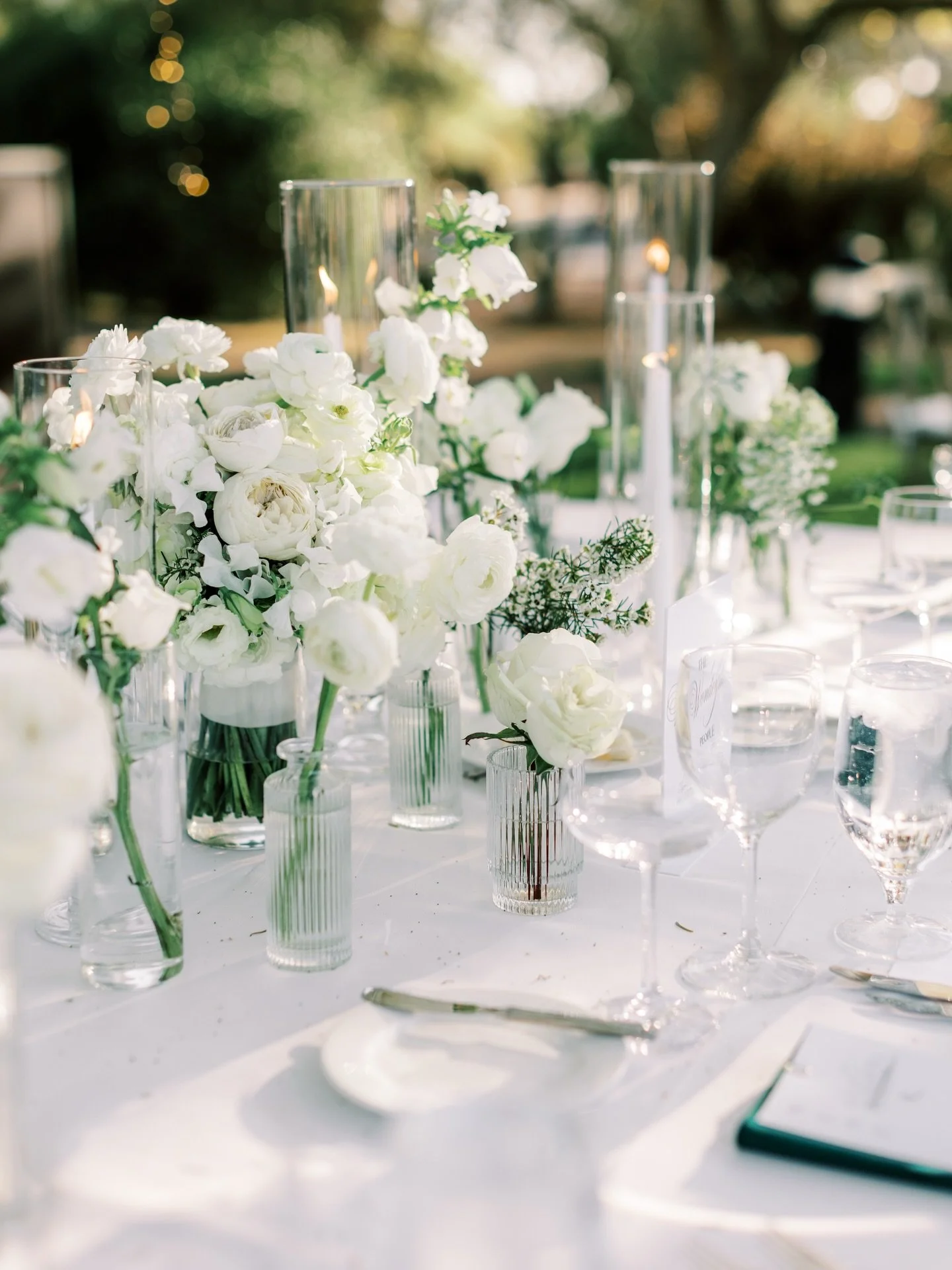 Spring in Arizona has its own rhythm &mdash; soft light, warm air, and that quiet kind of magic you can&rsquo;t rush. 

And Spring weddings here carry that same energy&hellip; elegant without trying too hard, beautiful without excess, grounded in wha