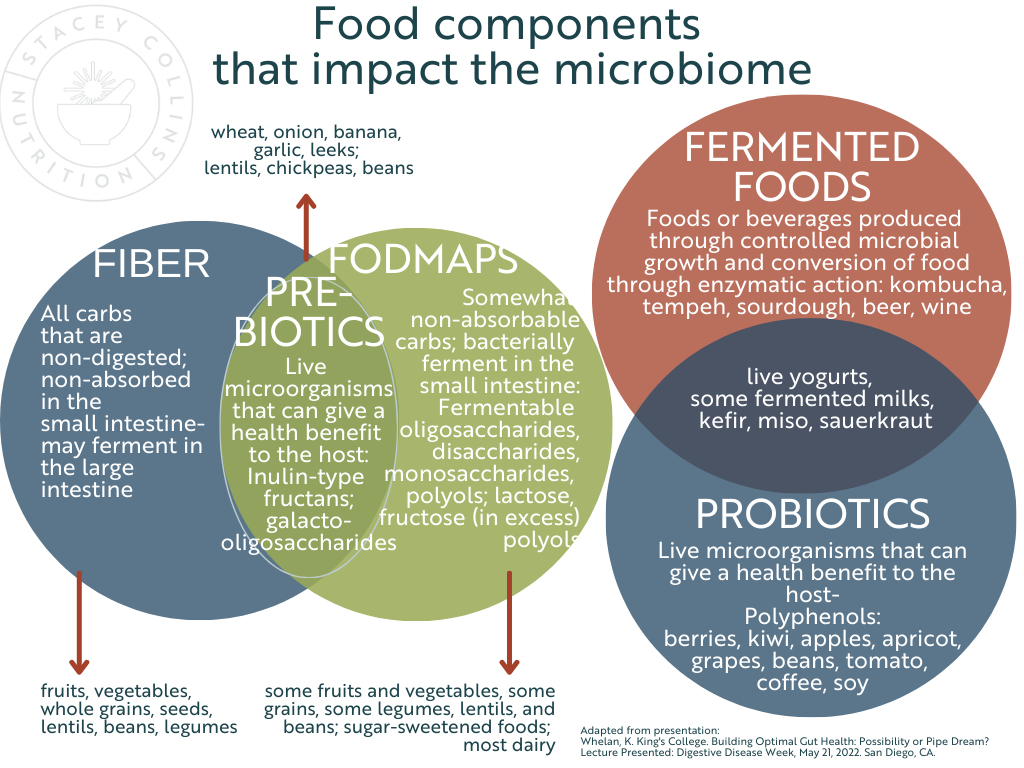 Can Food Really Influence the Microbiome? โ Stacey Collins Nutrition Biology Diagrams