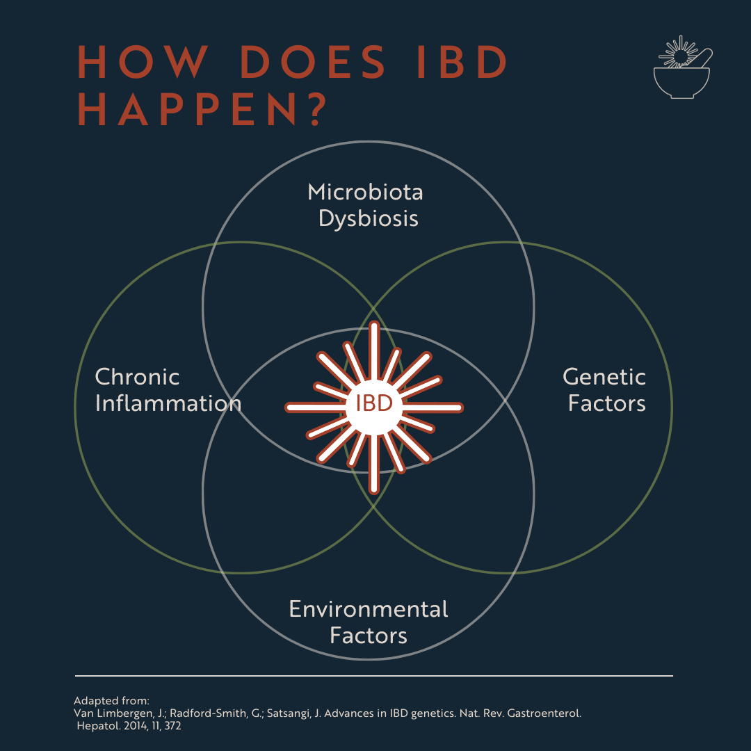 Graphic from Stacey Collins Nutrition showing that IBD is an intersection of chronic inflammation, genetic factors, environmental factors, and microbiota dysbiosis