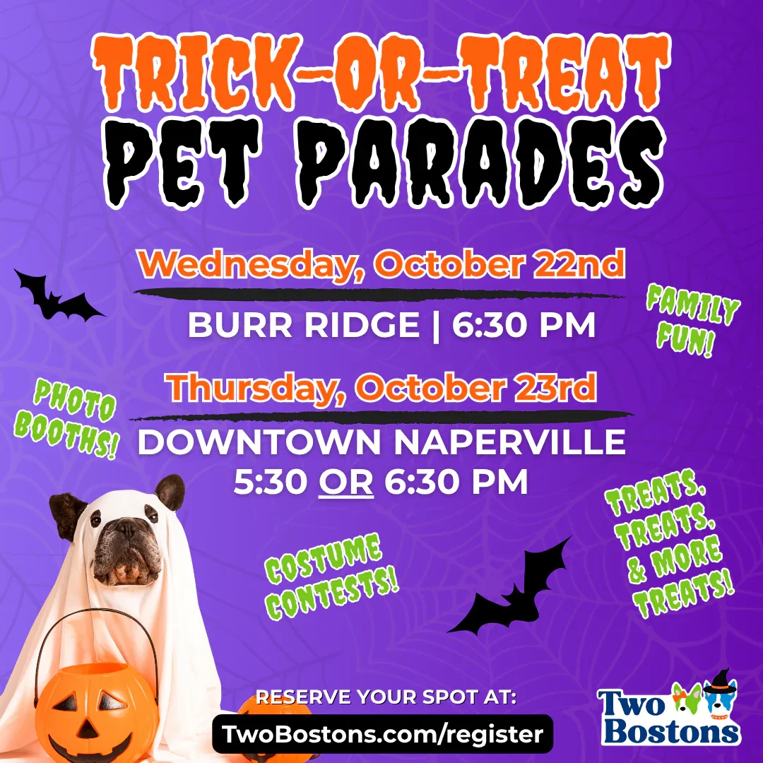 Trick or Treat Pet Parade 2025 in Downtown Naperville